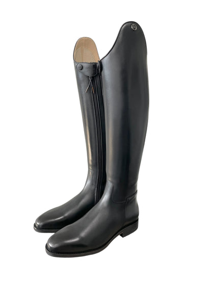 TDR's Shane (Celeris Aachen)