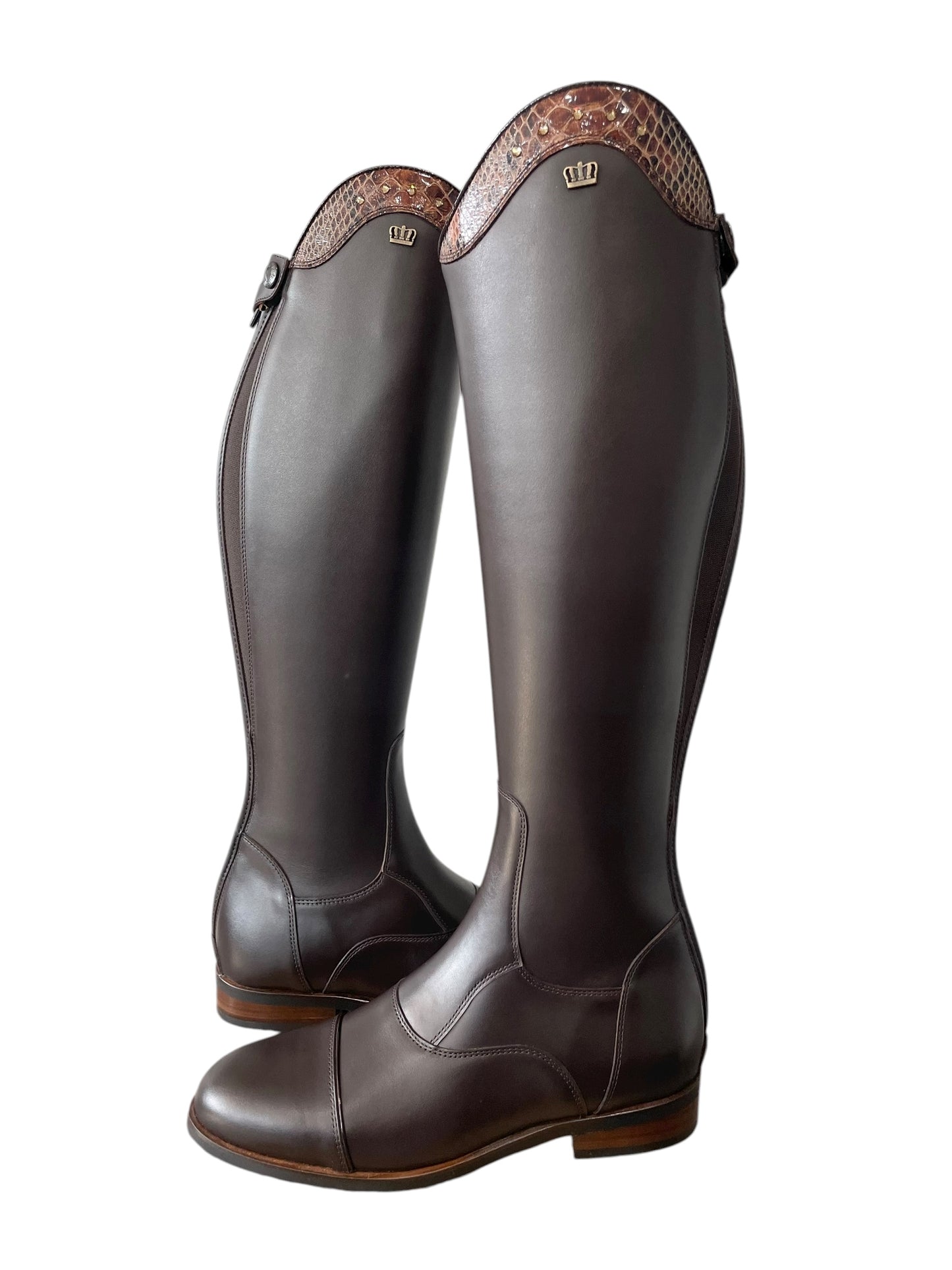 TDR's Elizabeth Sp. (Kingsley Aspen 01)