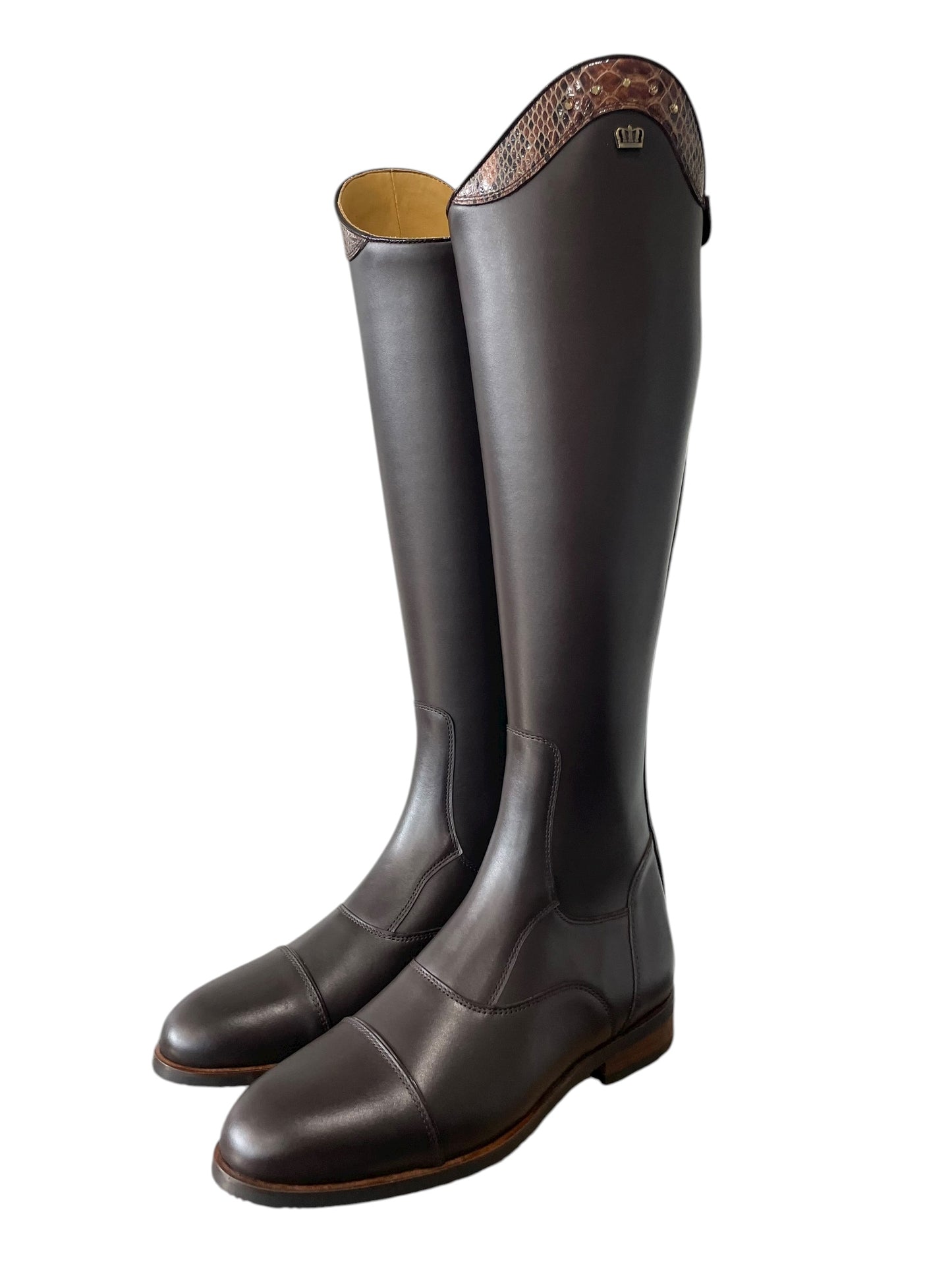 TDR's Elizabeth Sp. (Kingsley Aspen 01)