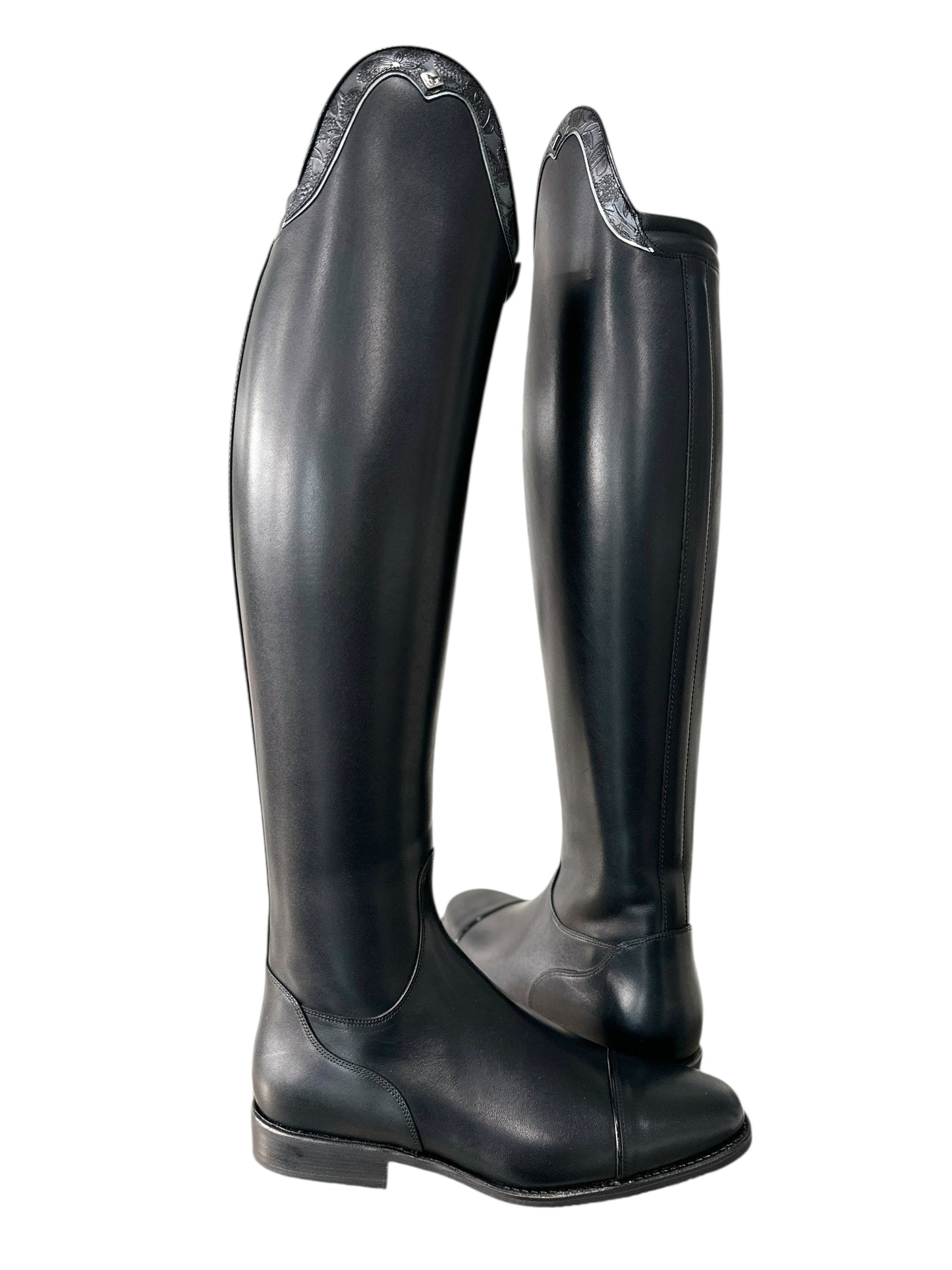 TDR's Amber H (DeNiro Bellini)