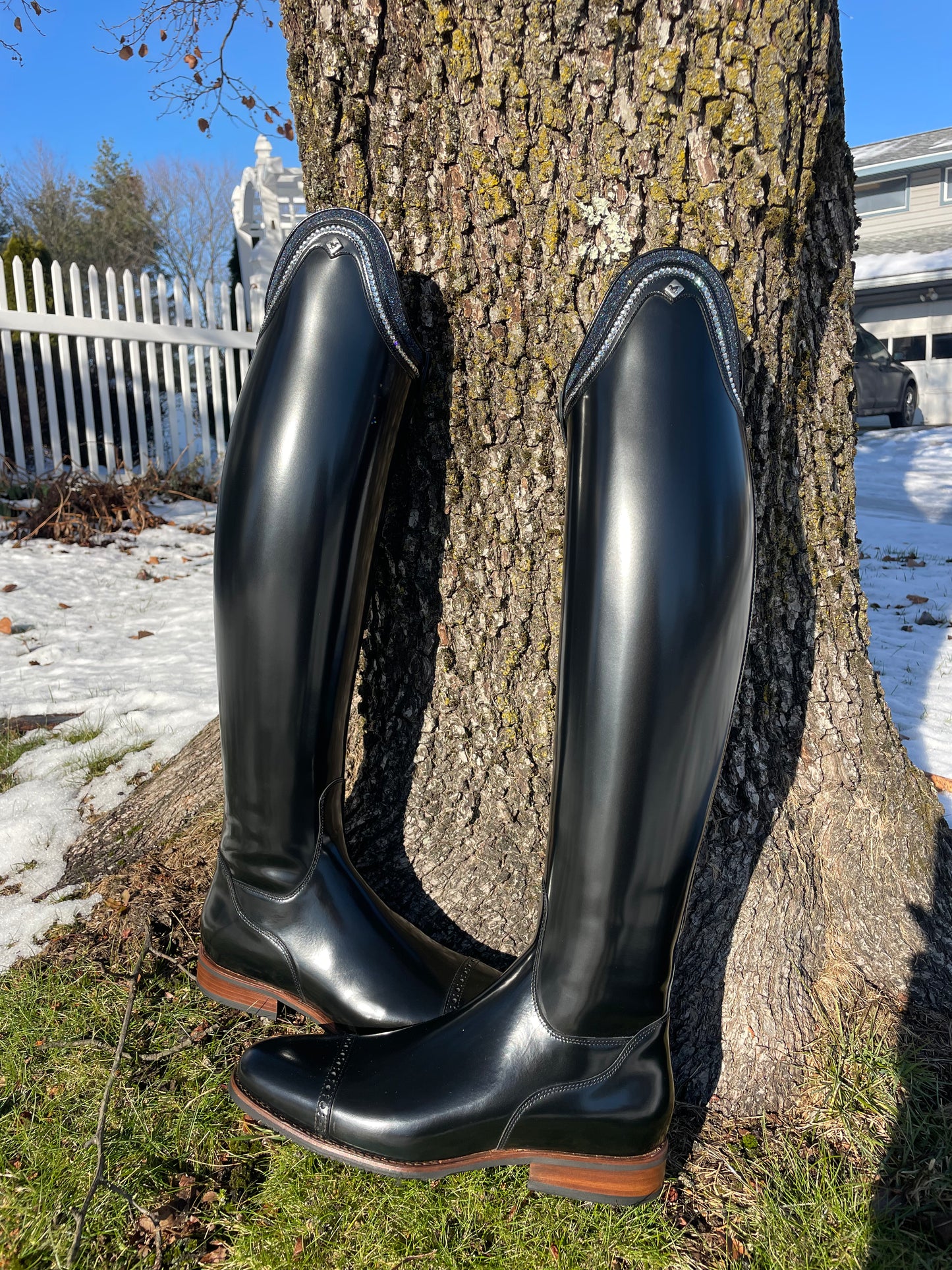 TDR's Ashley P 6.0 (DeNiro Bellini)