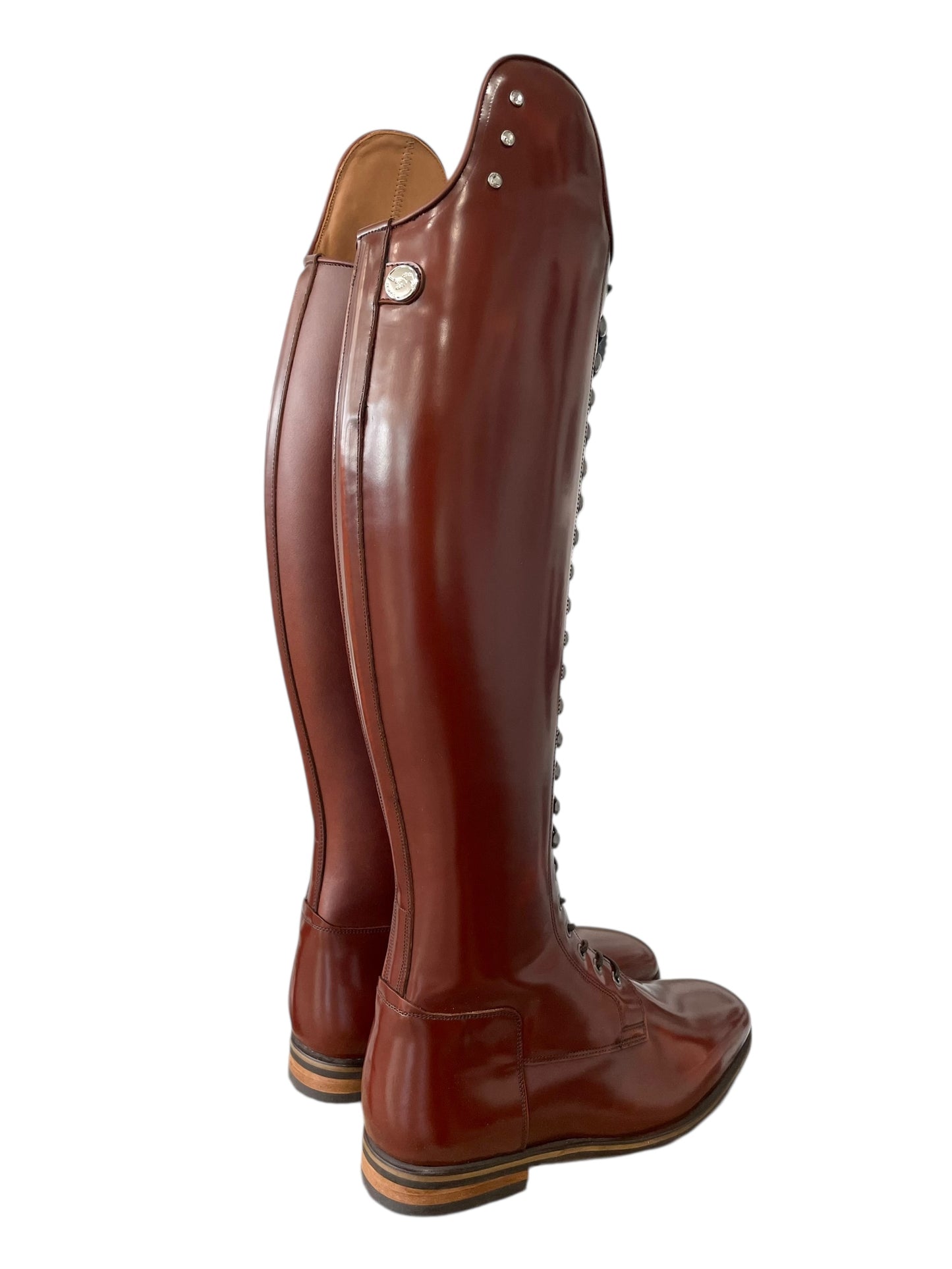 TDR's Kristin H 2.0 (Celeris Bia Compete)