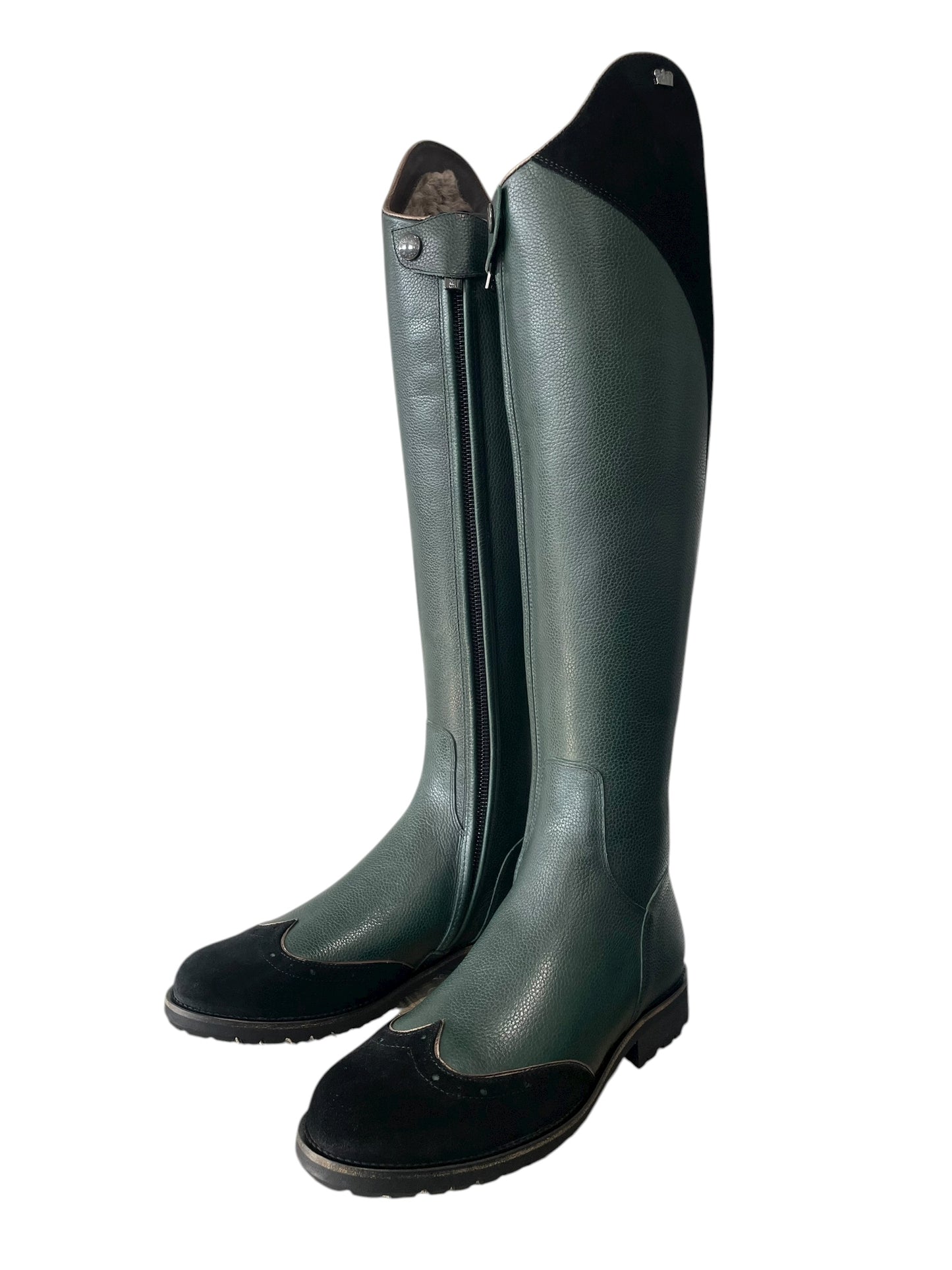 TDR's Azlan (Kingsley Capri)