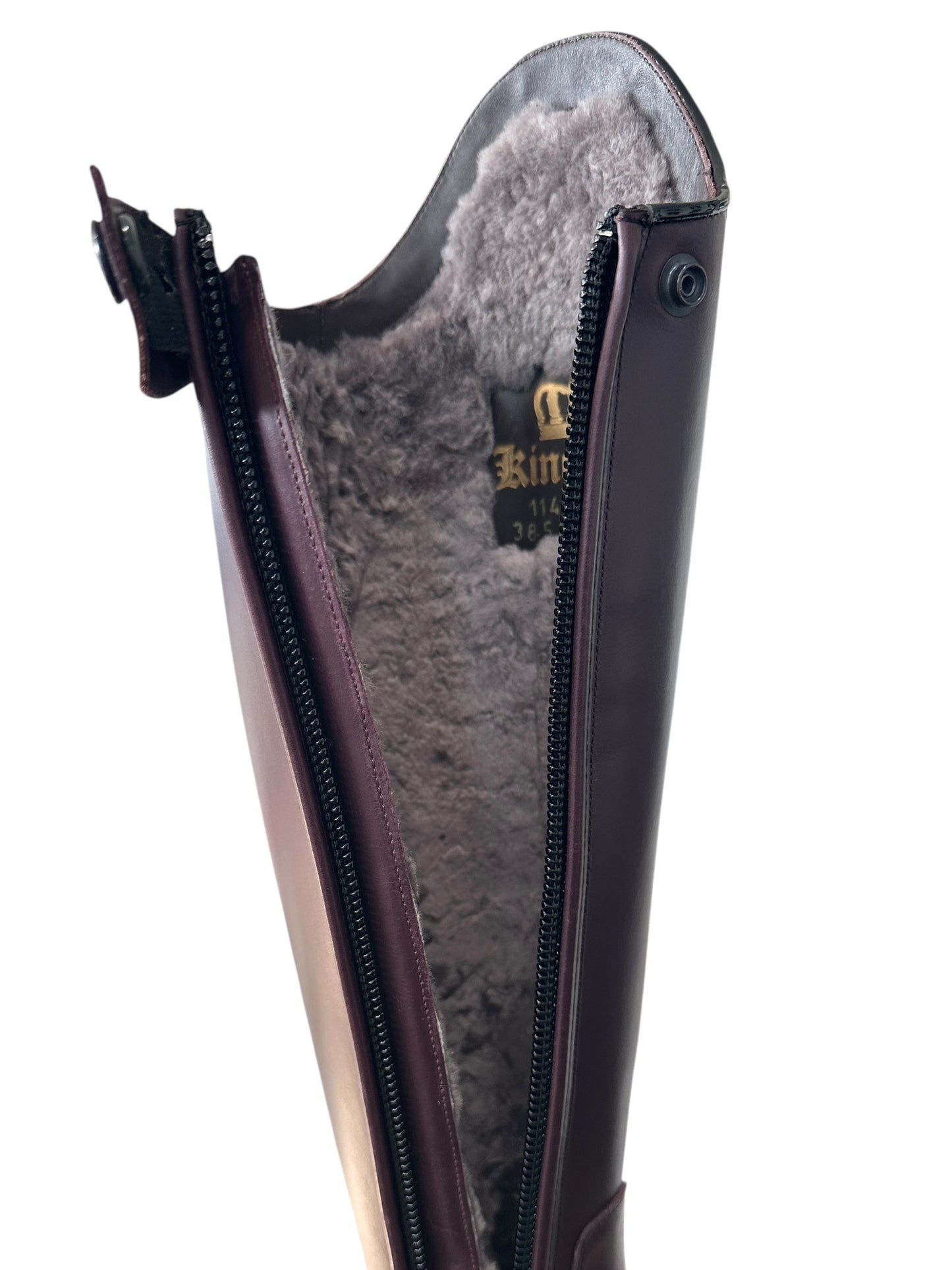 TDR's Leah H (Kingsley Capri)