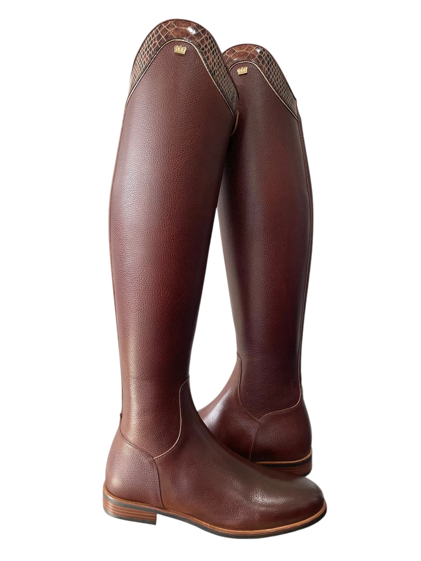 TDR's Lehua (Kingsley Capri)