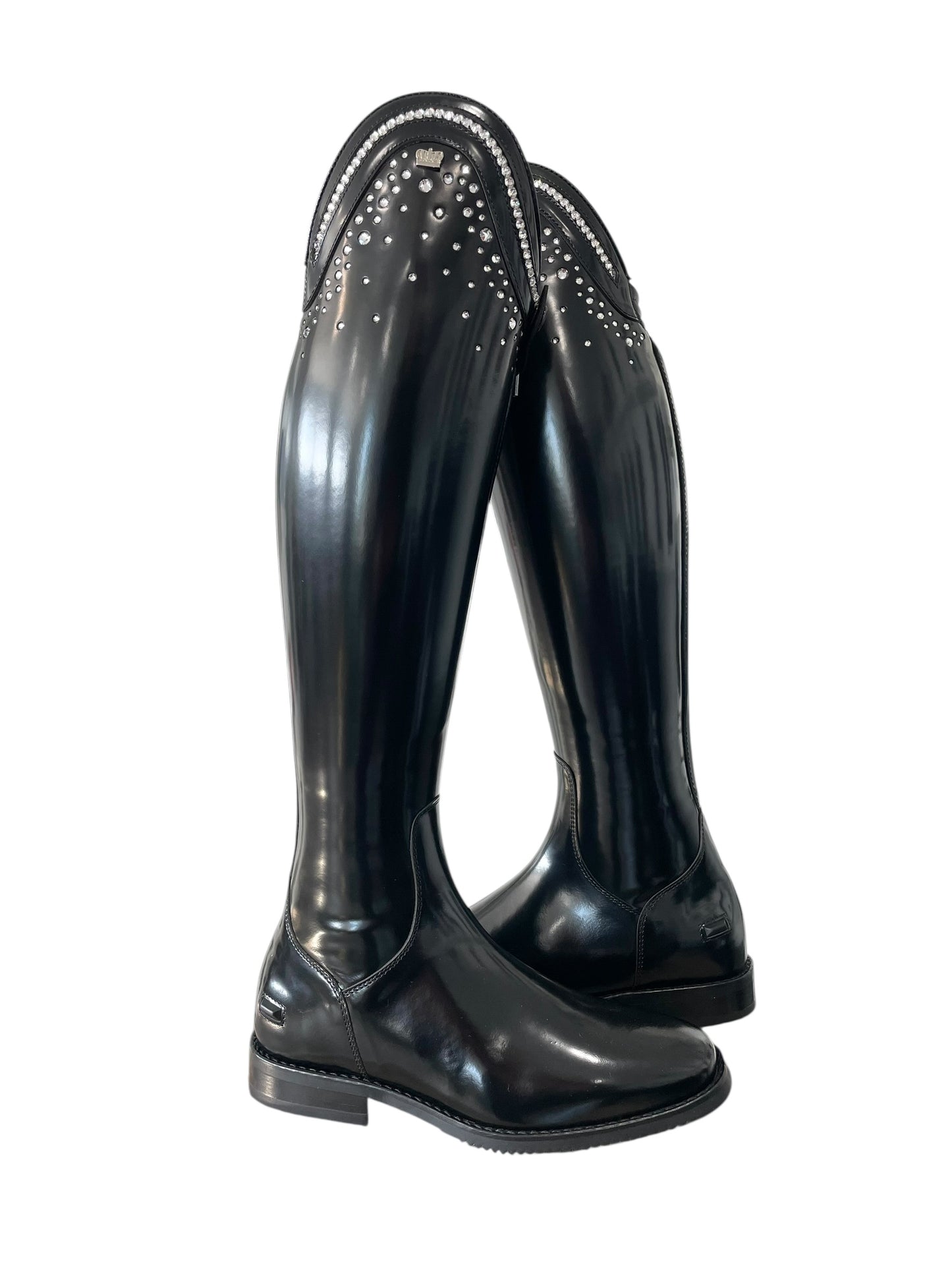 TDR's Liz B (Kingsley Capri)