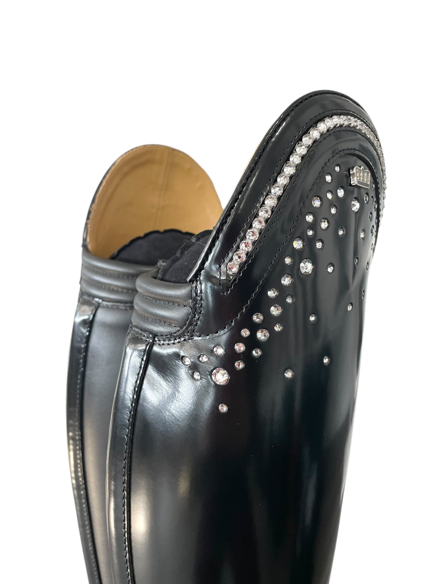 TDR's Liz B (Kingsley Capri)