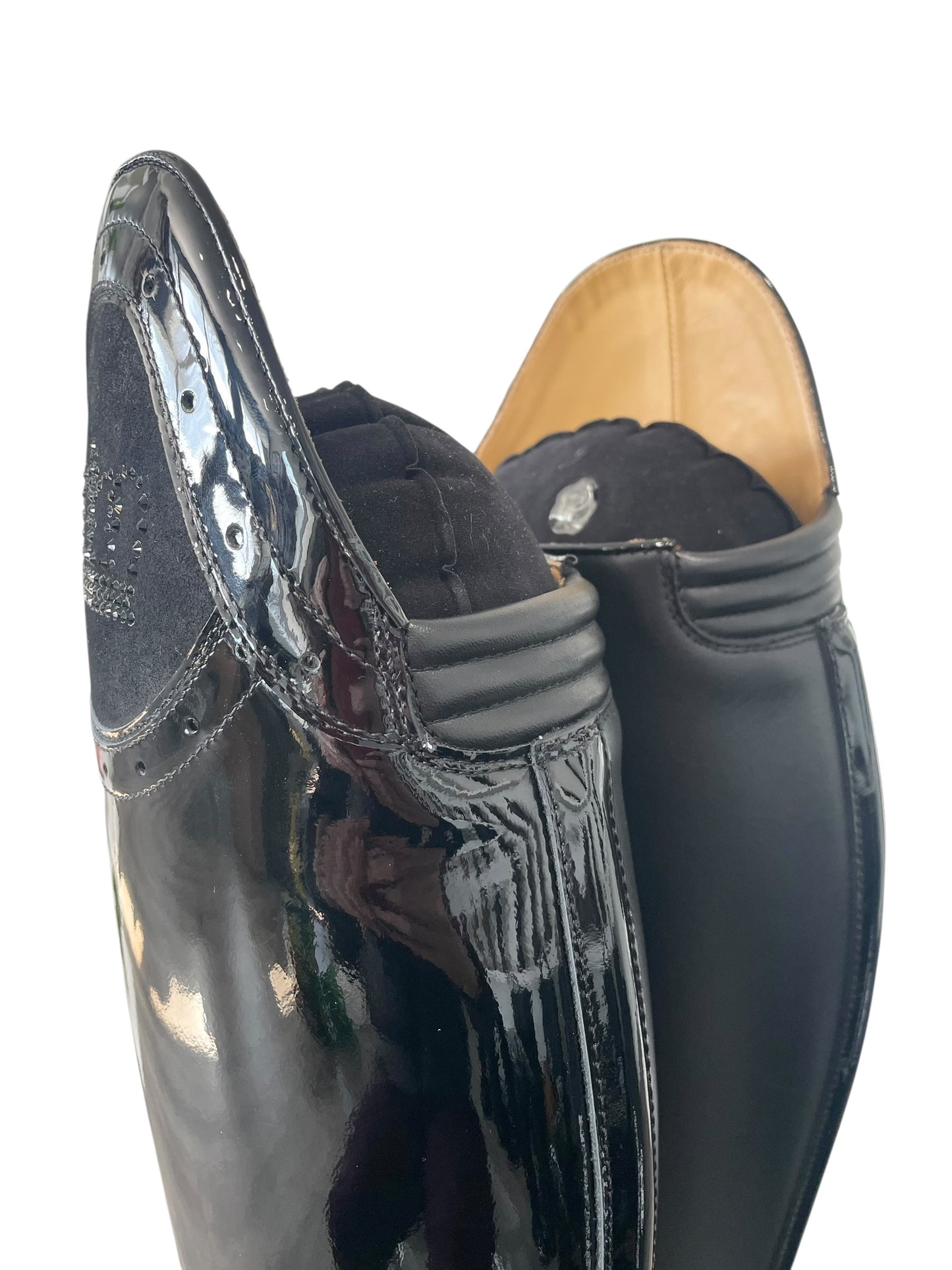 TDR's Marissa 15.0 (Kingsley Capri)