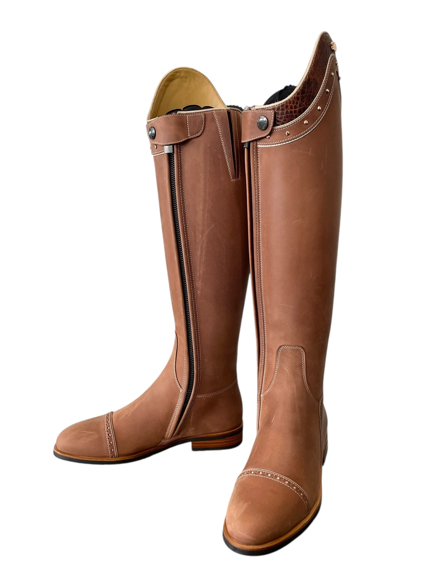 TDR's Megan M 3.0 (Kingsley Capri)