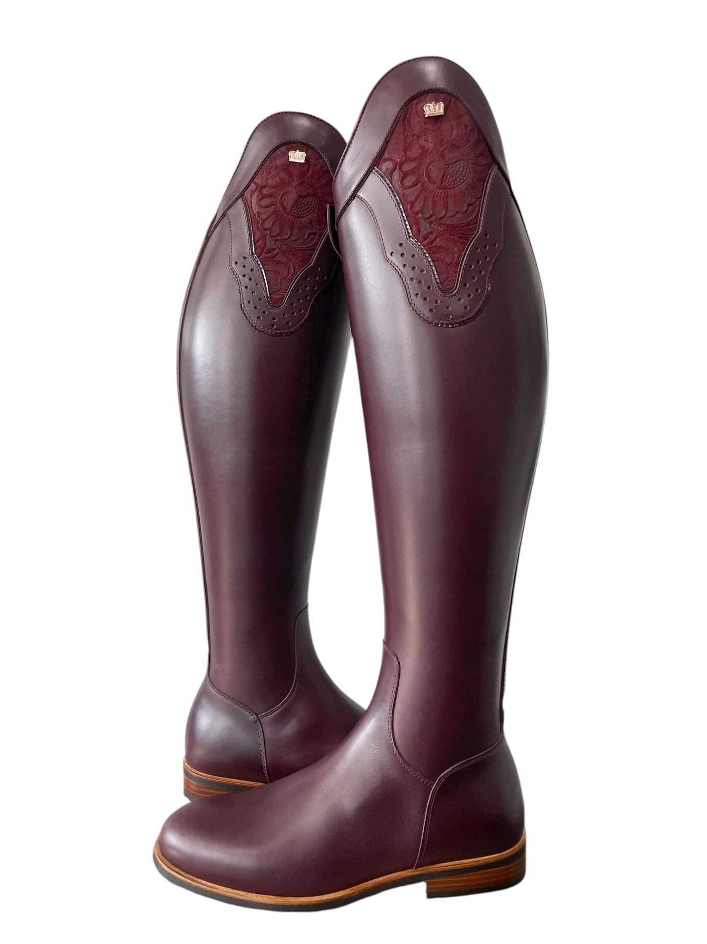 TDR's Michele C (Kingsley Capri)