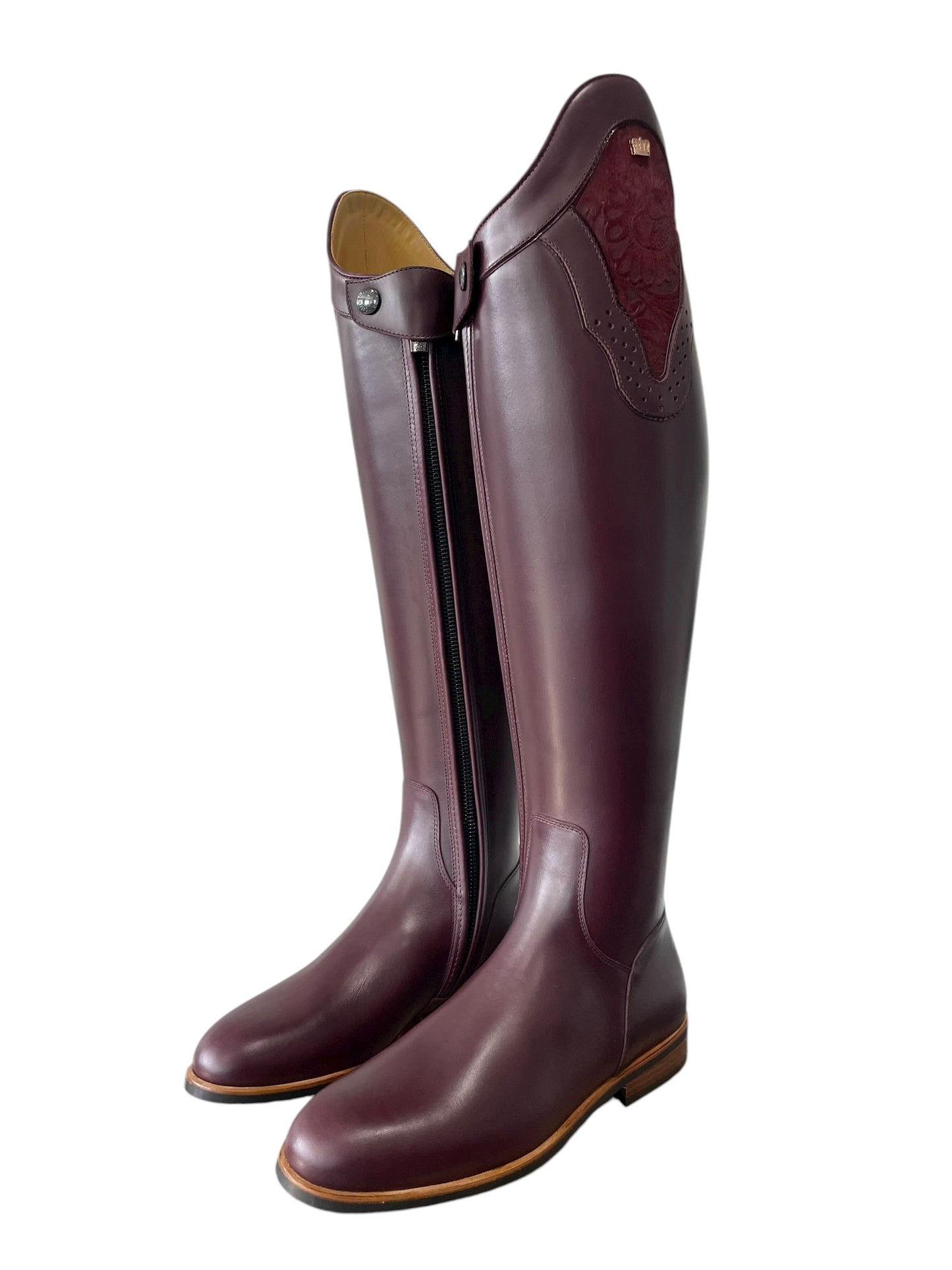 TDR's Michele C (Kingsley Capri)