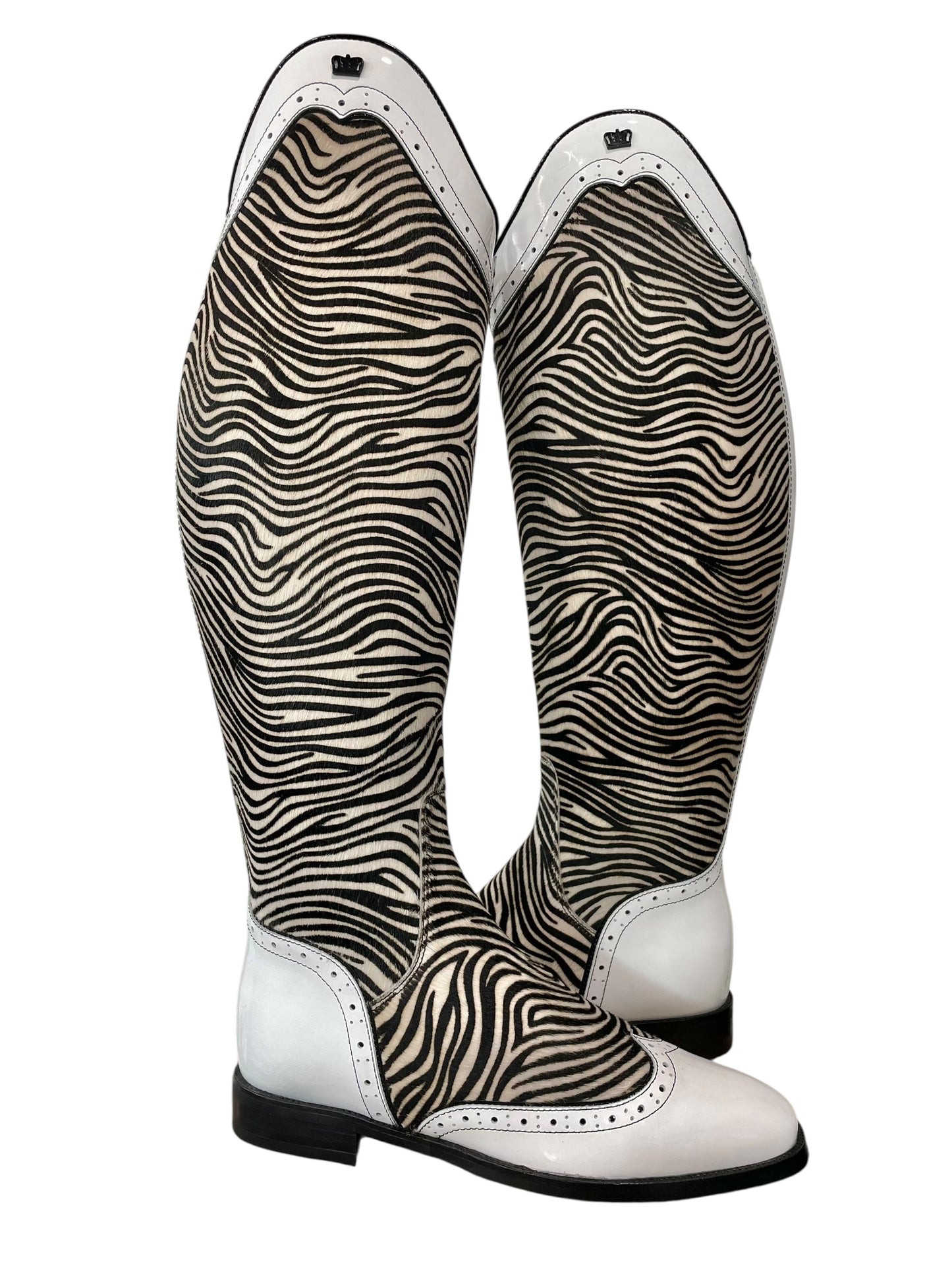 TDR's Stephanie M 5.0 (Kingsley Capri)