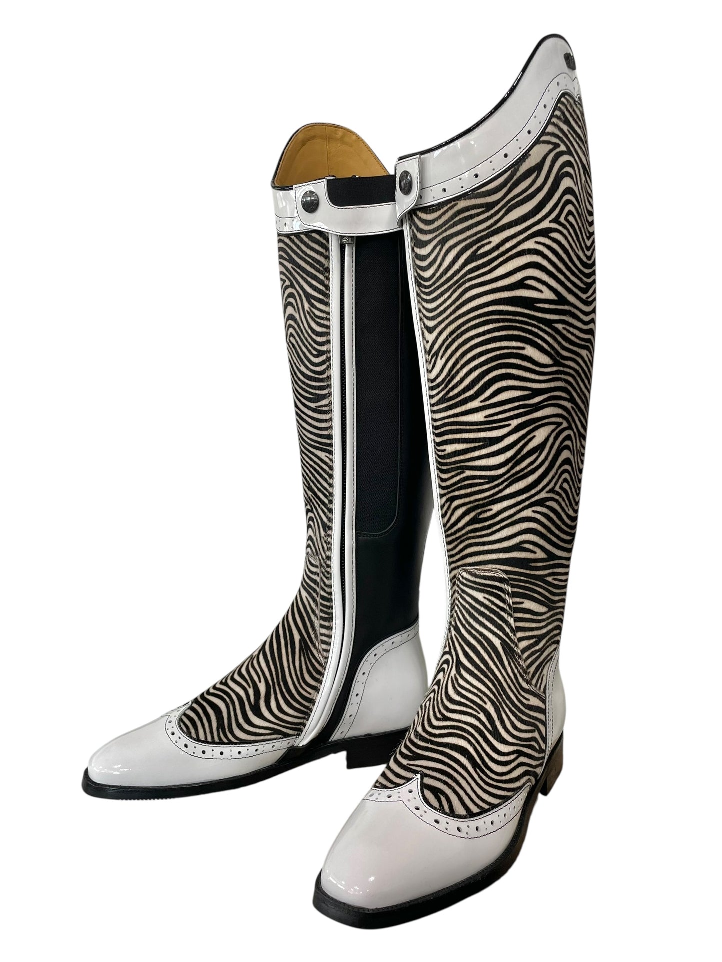 TDR's Stephanie M 5.0 (Kingsley Capri)