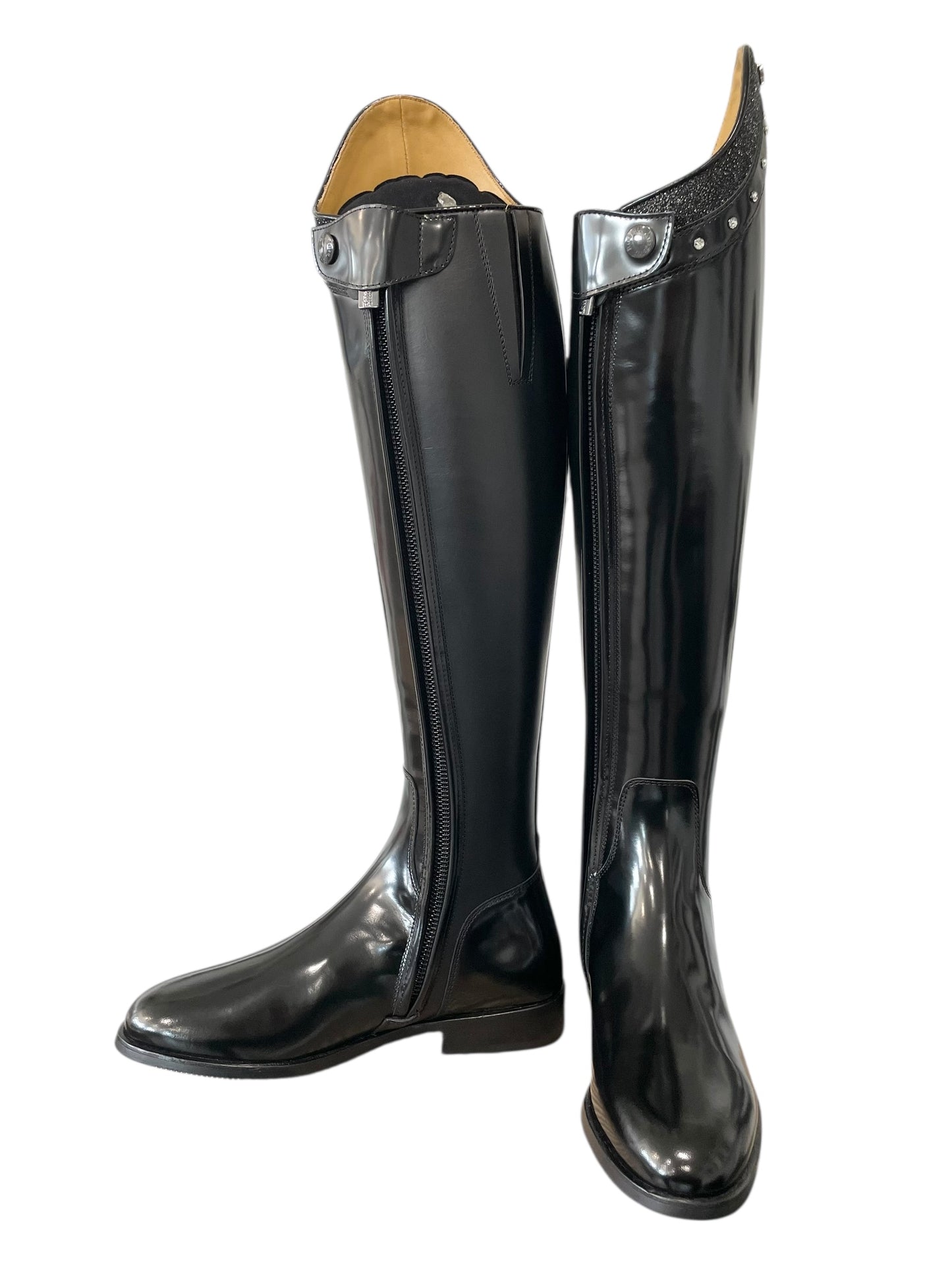 TDR's Traci (Kingsley Capri)