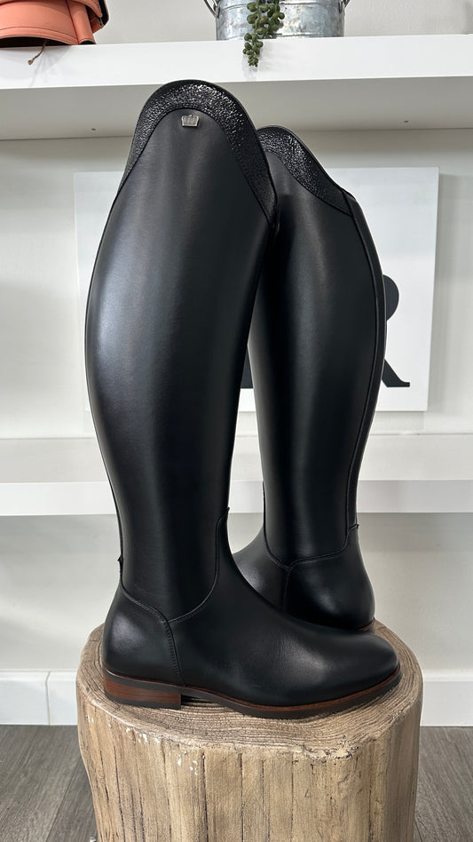 TDR's Kristen Ch. (Kingsley Lexington)