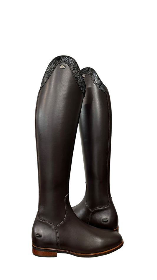 TDR's Madison (Kingsley Lexington)