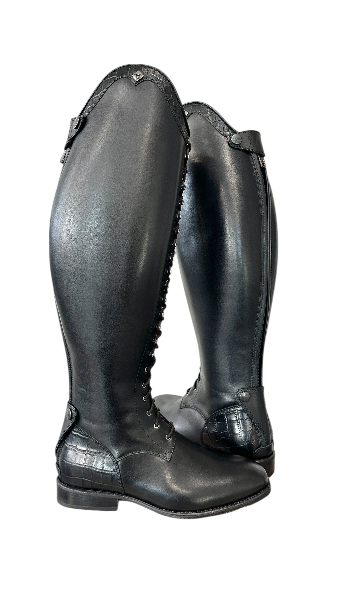 TDR's Hailey (DeNiro S8603)