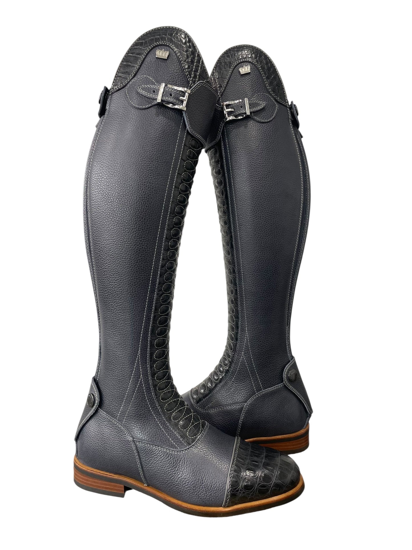 TDR's Beth N 2.0 (Kingsley Infinity)