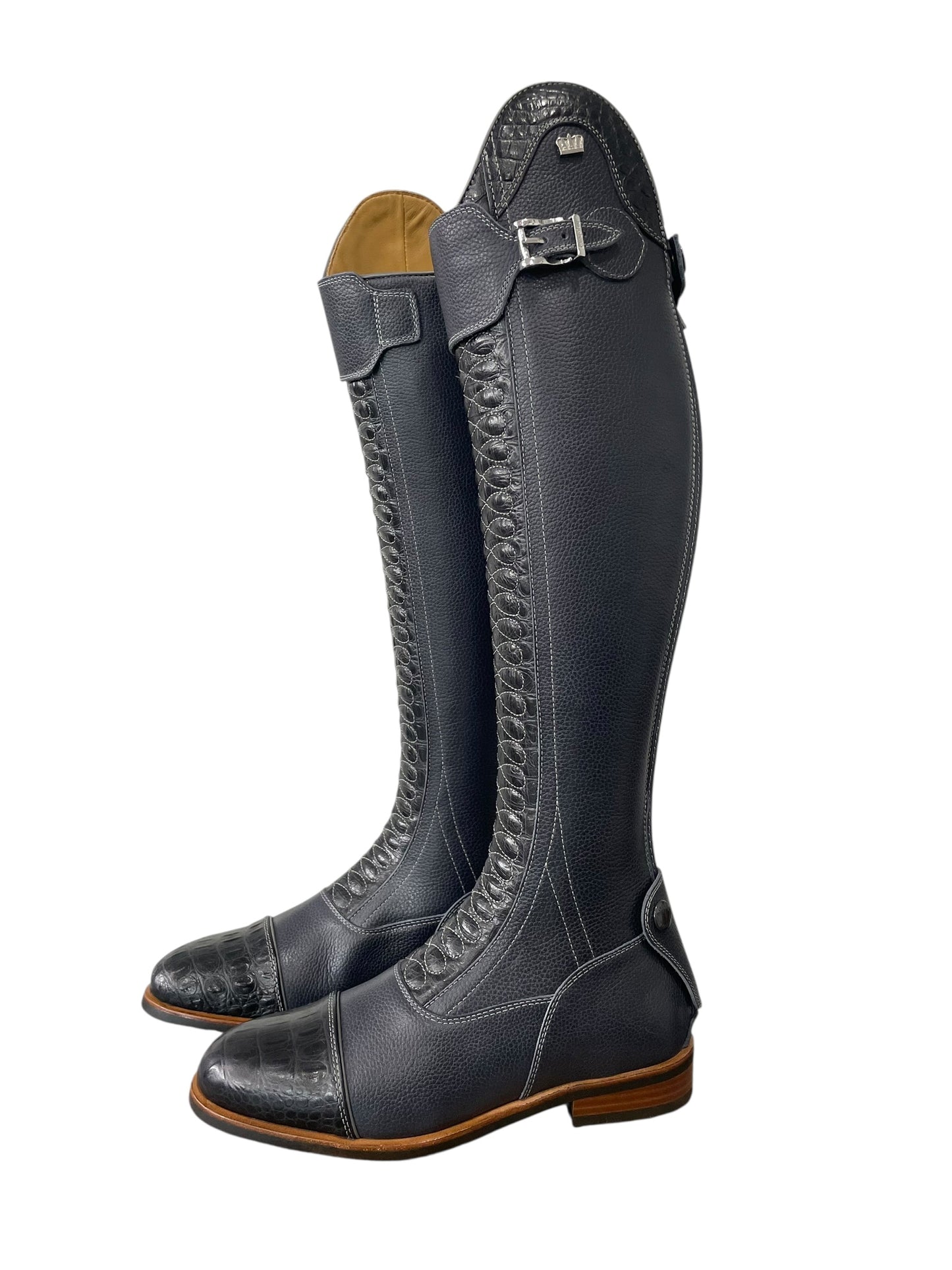 TDR's Beth N 2.0 (Kingsley Infinity)