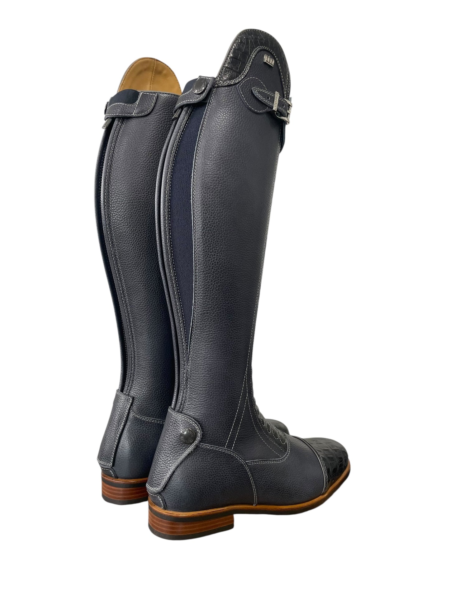 TDR's Beth N 2.0 (Kingsley Infinity)