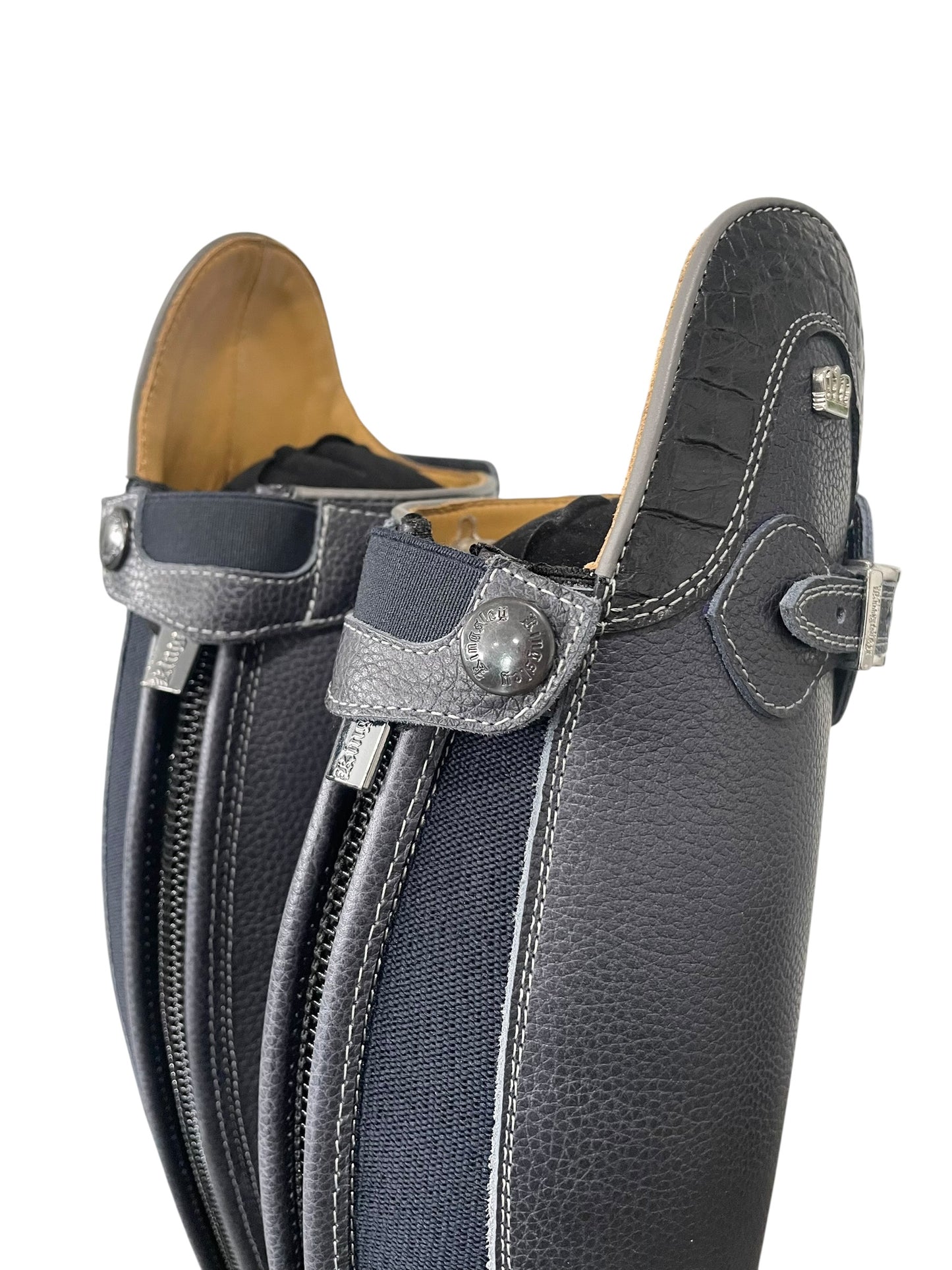 TDR's Beth N 2.0 (Kingsley Infinity)