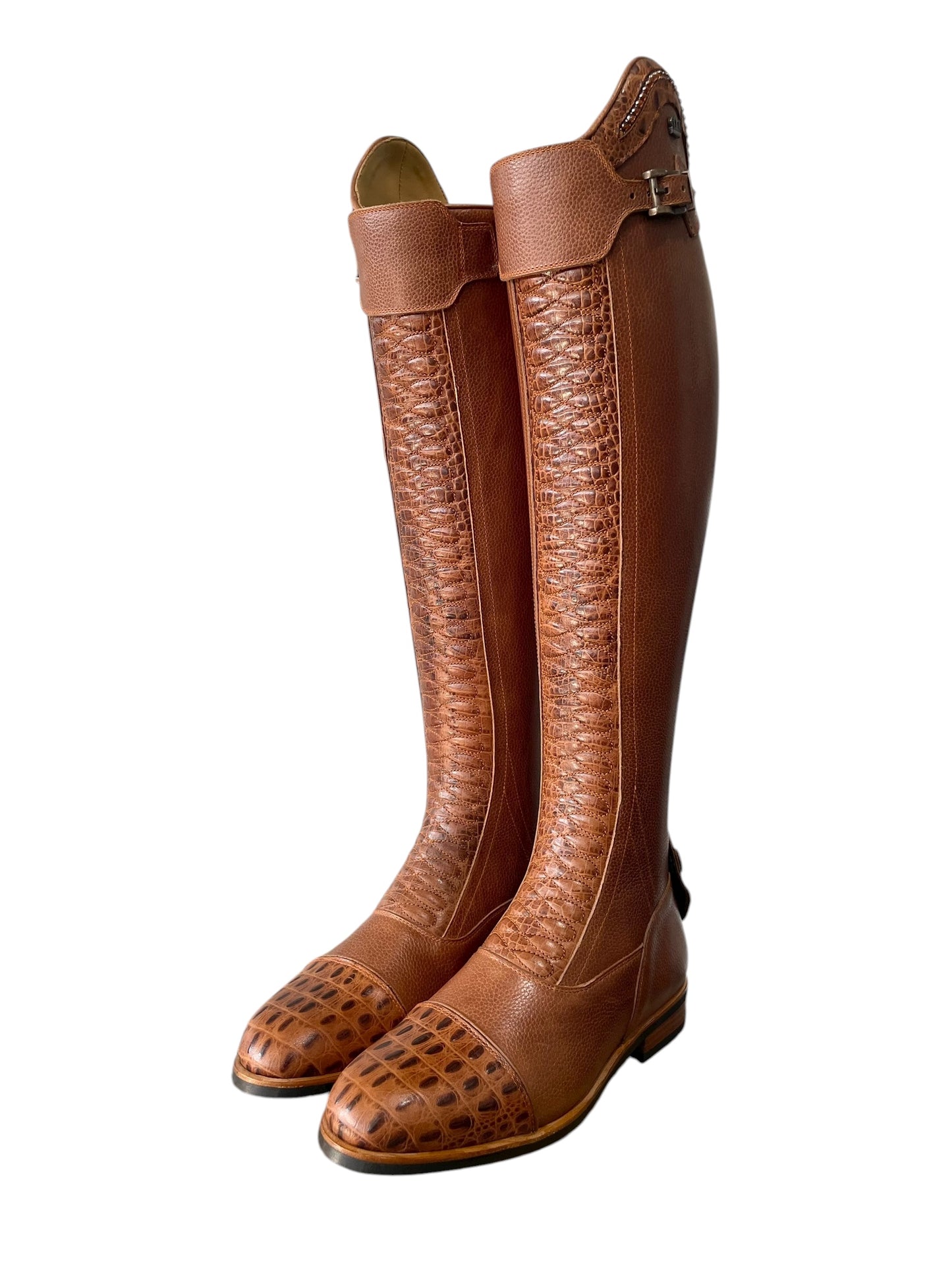 TDR's Carly Q 4.0 (Kingsley Infinity)