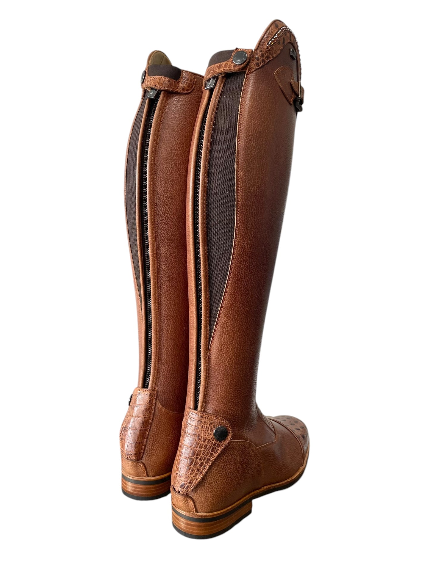 TDR's Carly Q 4.0 (Kingsley Infinity)