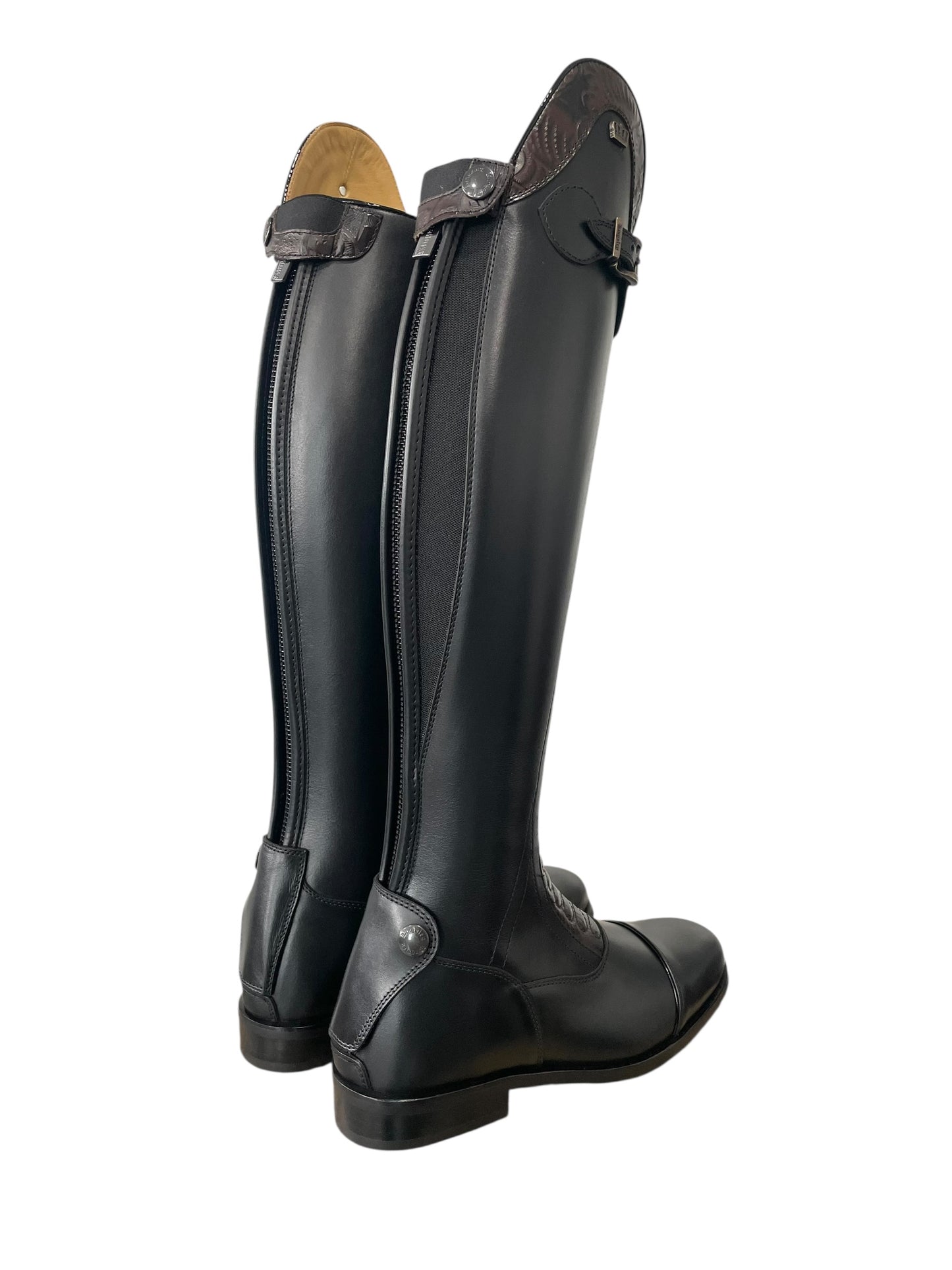 TDR's Jen K (Kingsley Infinity)