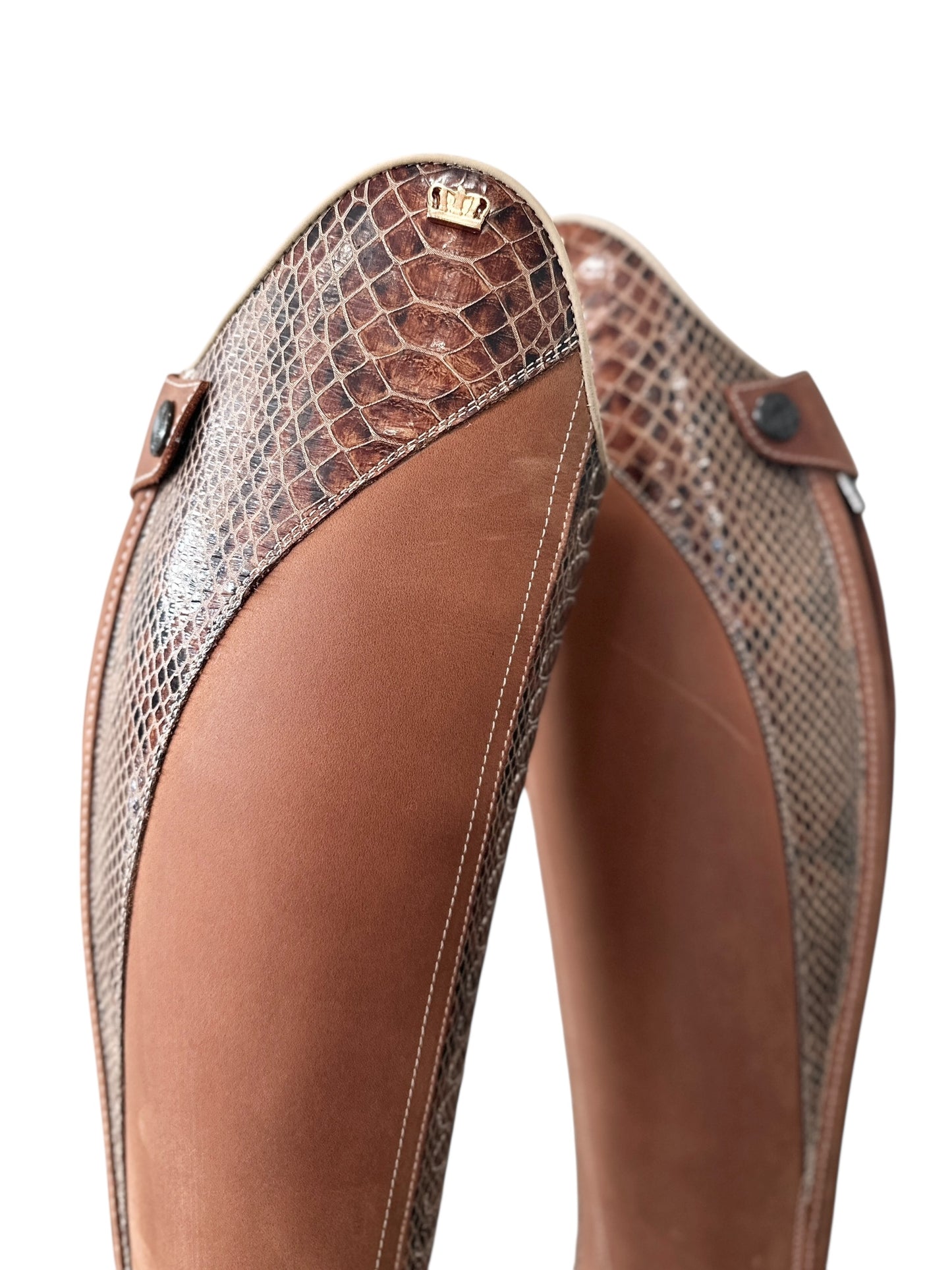 TDR's Kathi 5.0 (Kingsley Infinity)