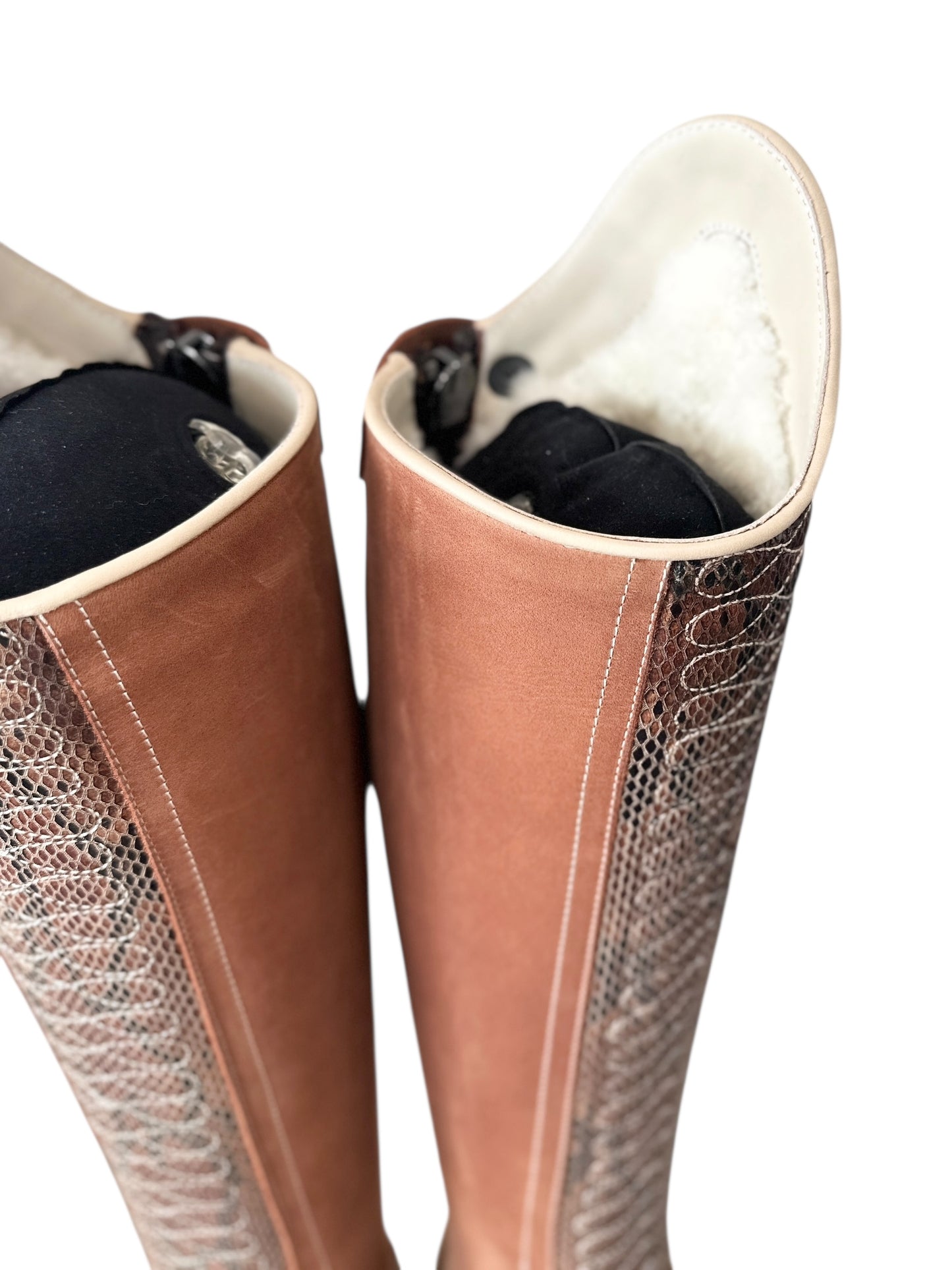 TDR's Kathi 5.0 (Kingsley Infinity)