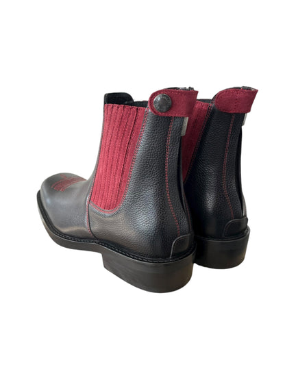 TDR's Sarah B (Kingsley Jack)