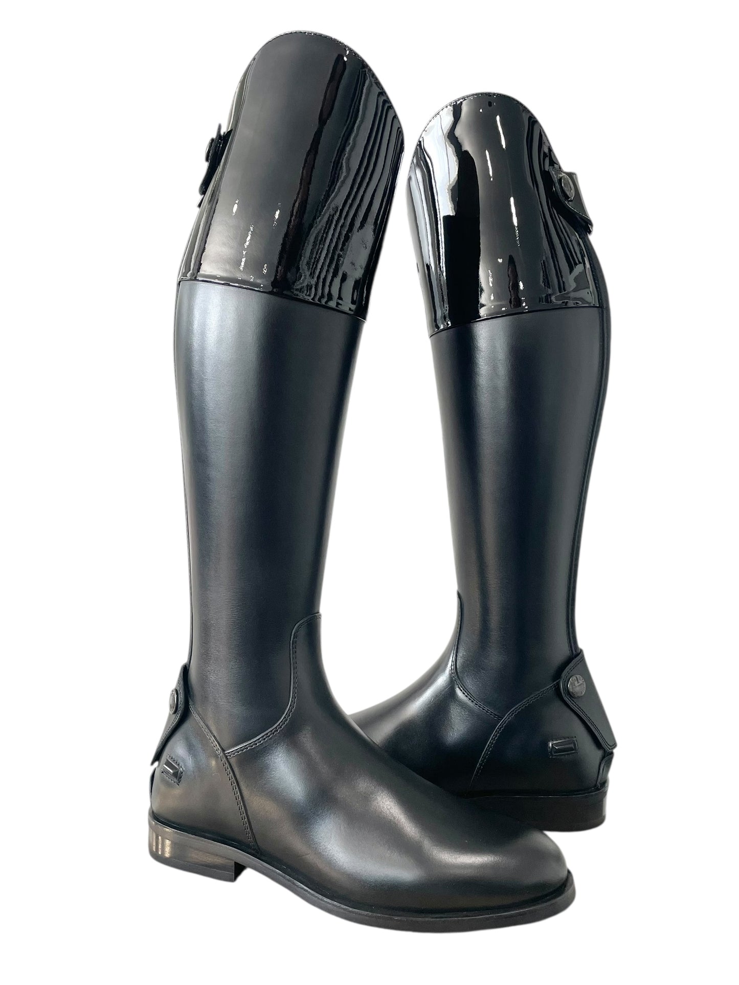 TDR's Catherine N (Kingsley King Hunter)