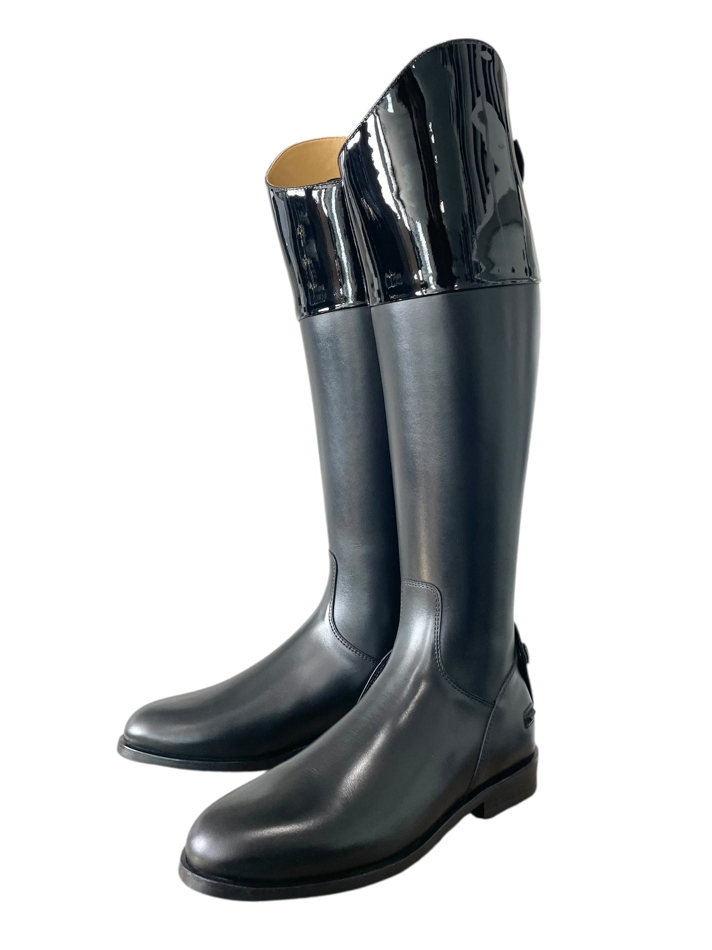 TDR's Catherine N (Kingsley King Hunter)