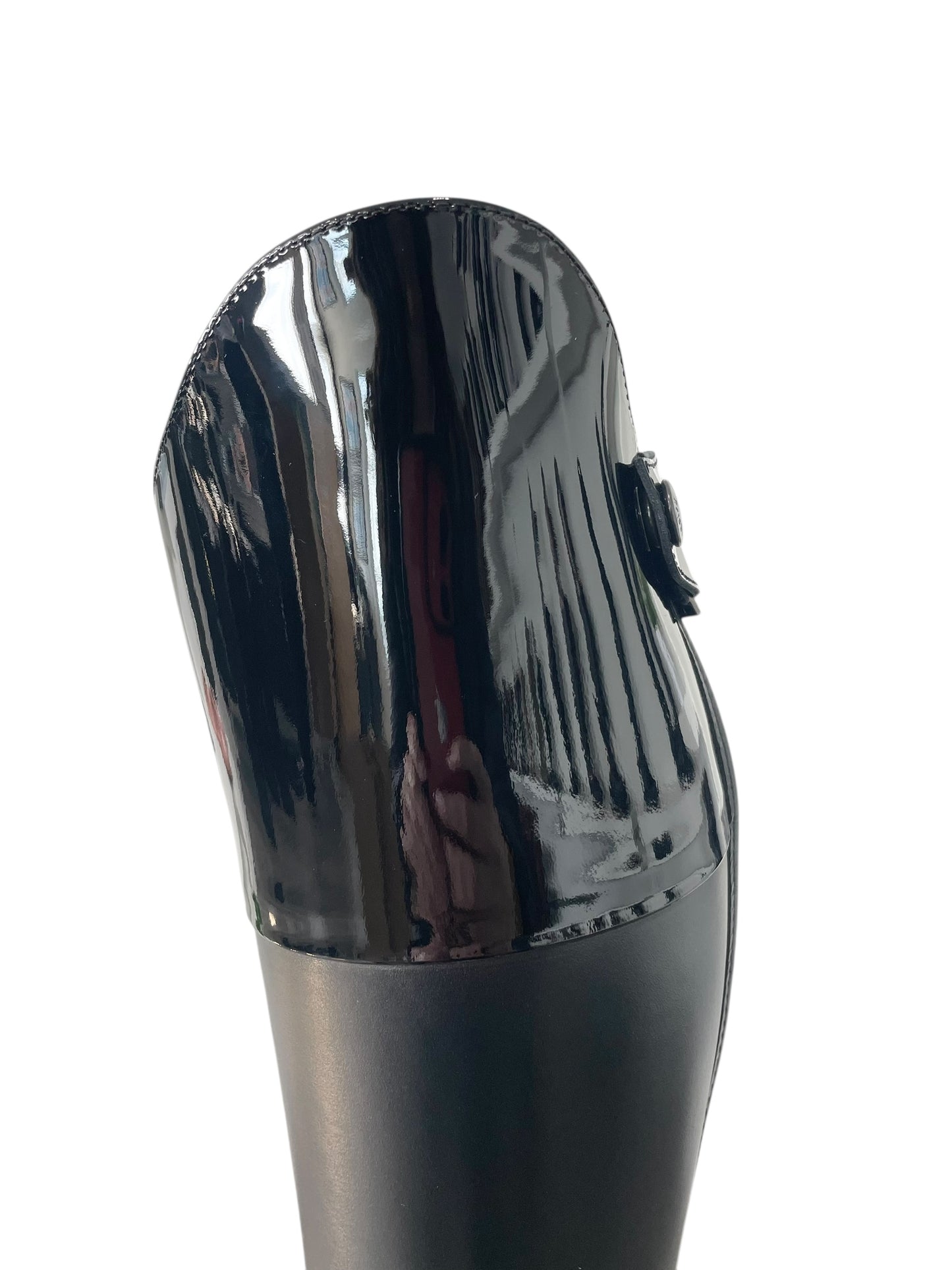 TDR's Catherine N (Kingsley King Hunter)