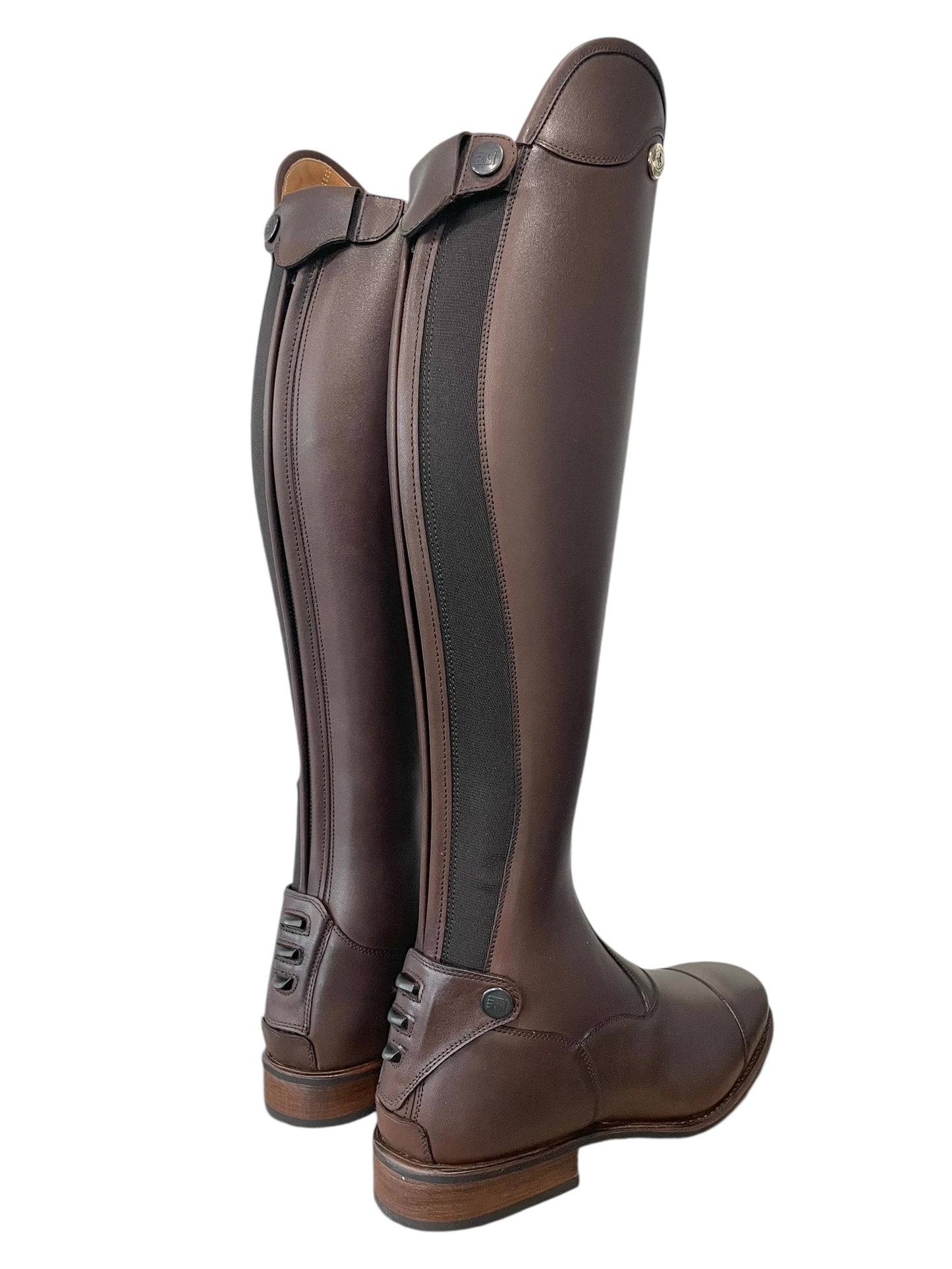 TDR's Meaghan D 6.0 (DeNiro Levante 01)