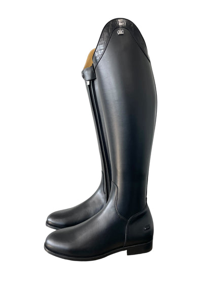 TDR's Aaron F (Kingsley Lexington)