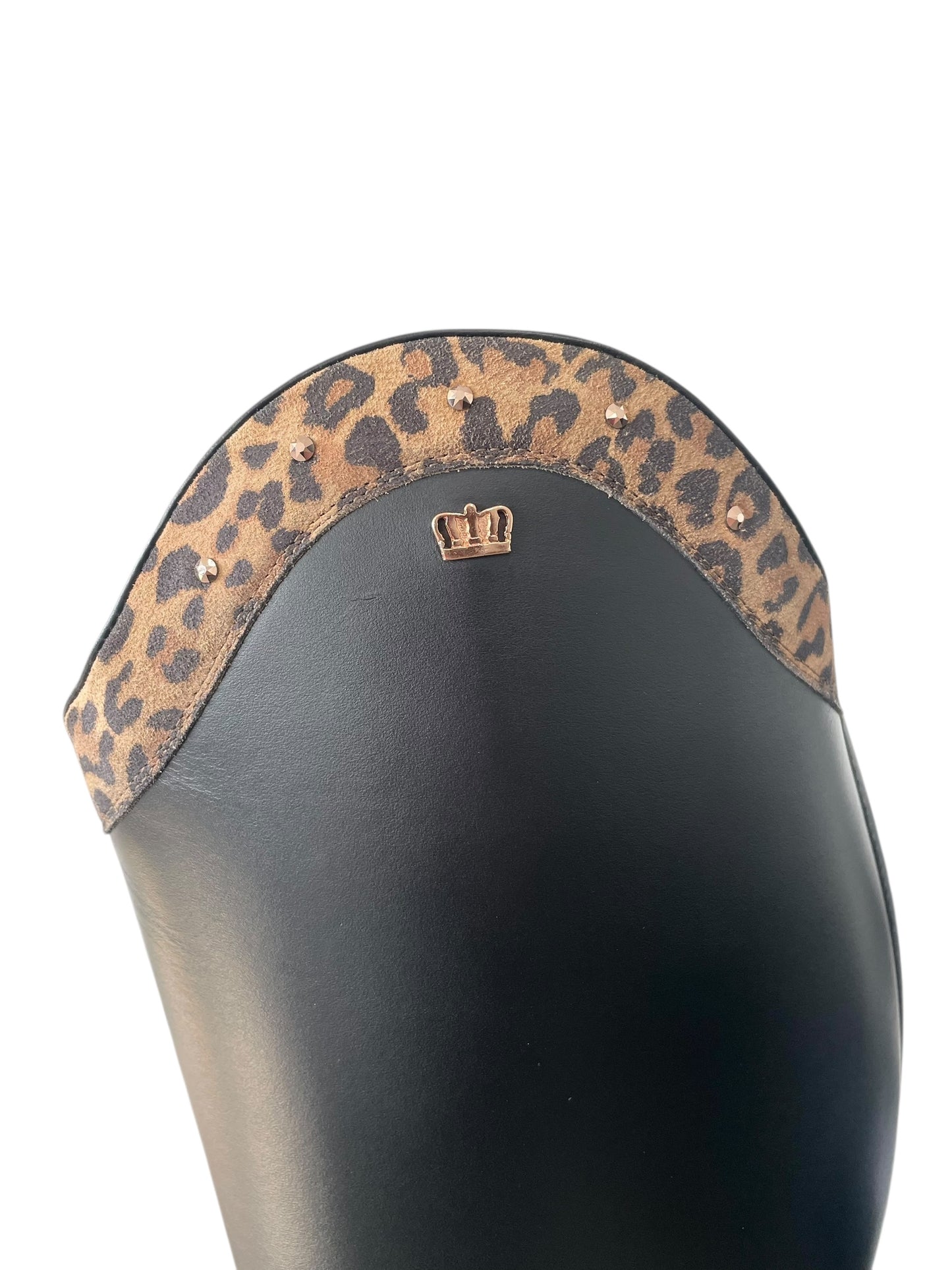 TDR's Heidi M (Kingsley Lexington)