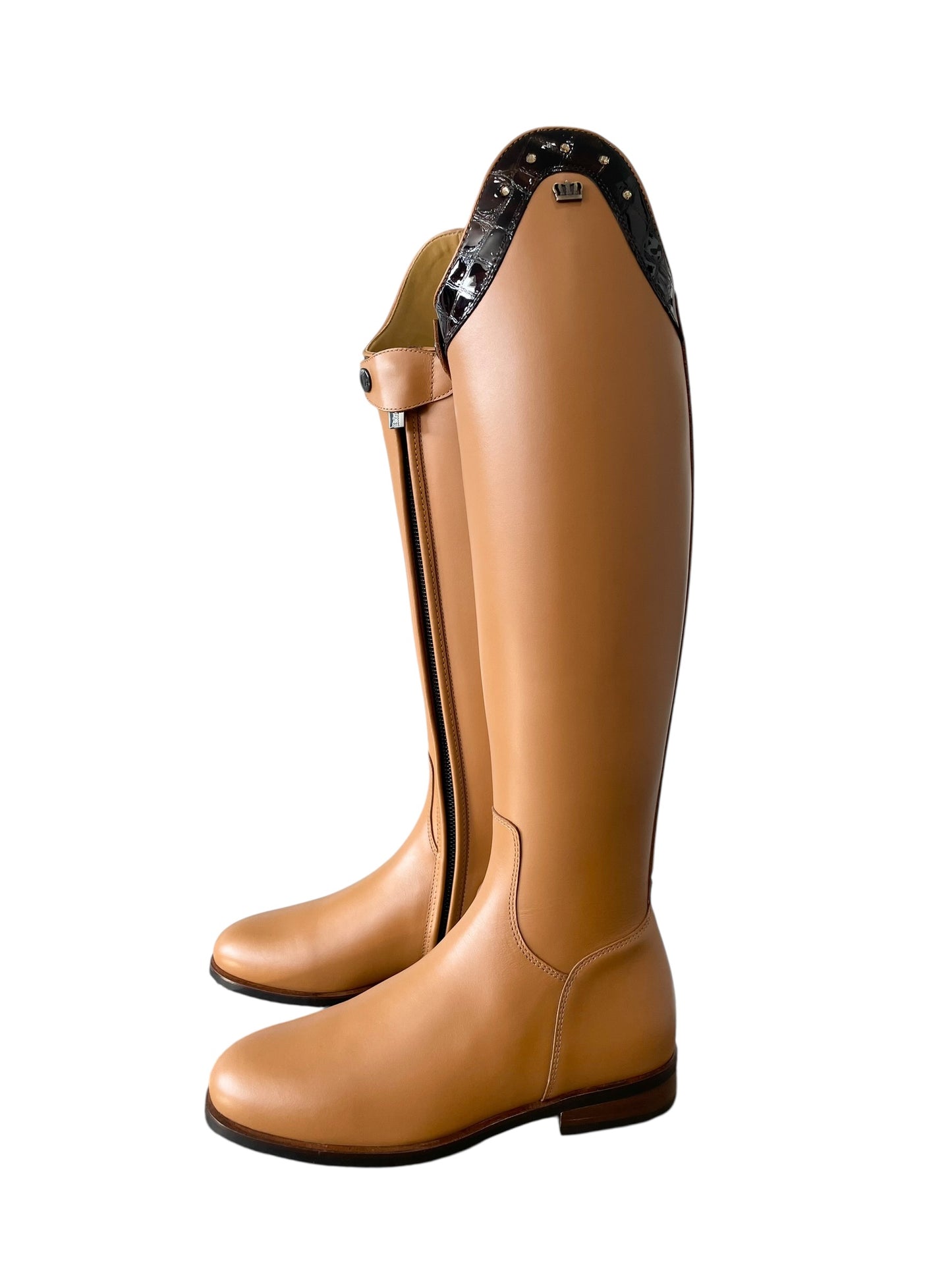 TDR's Marsha S 3.0 (Kingsley Lexington)