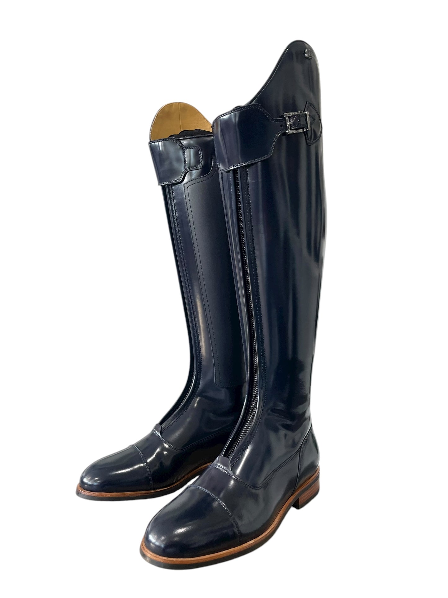 TDR's Franki K (Kingsley London 01)