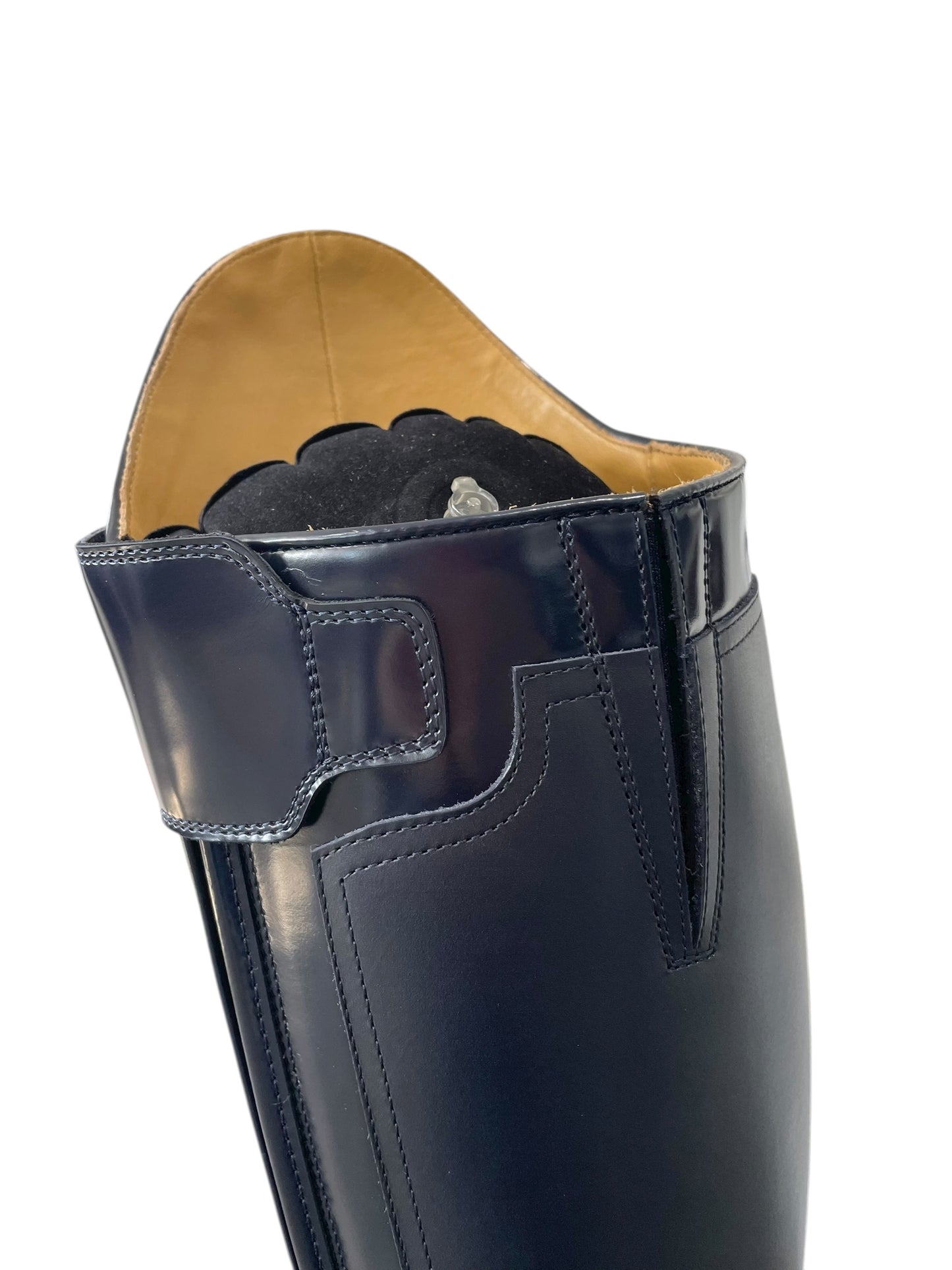 TDR's Franki K (Kingsley London 01)