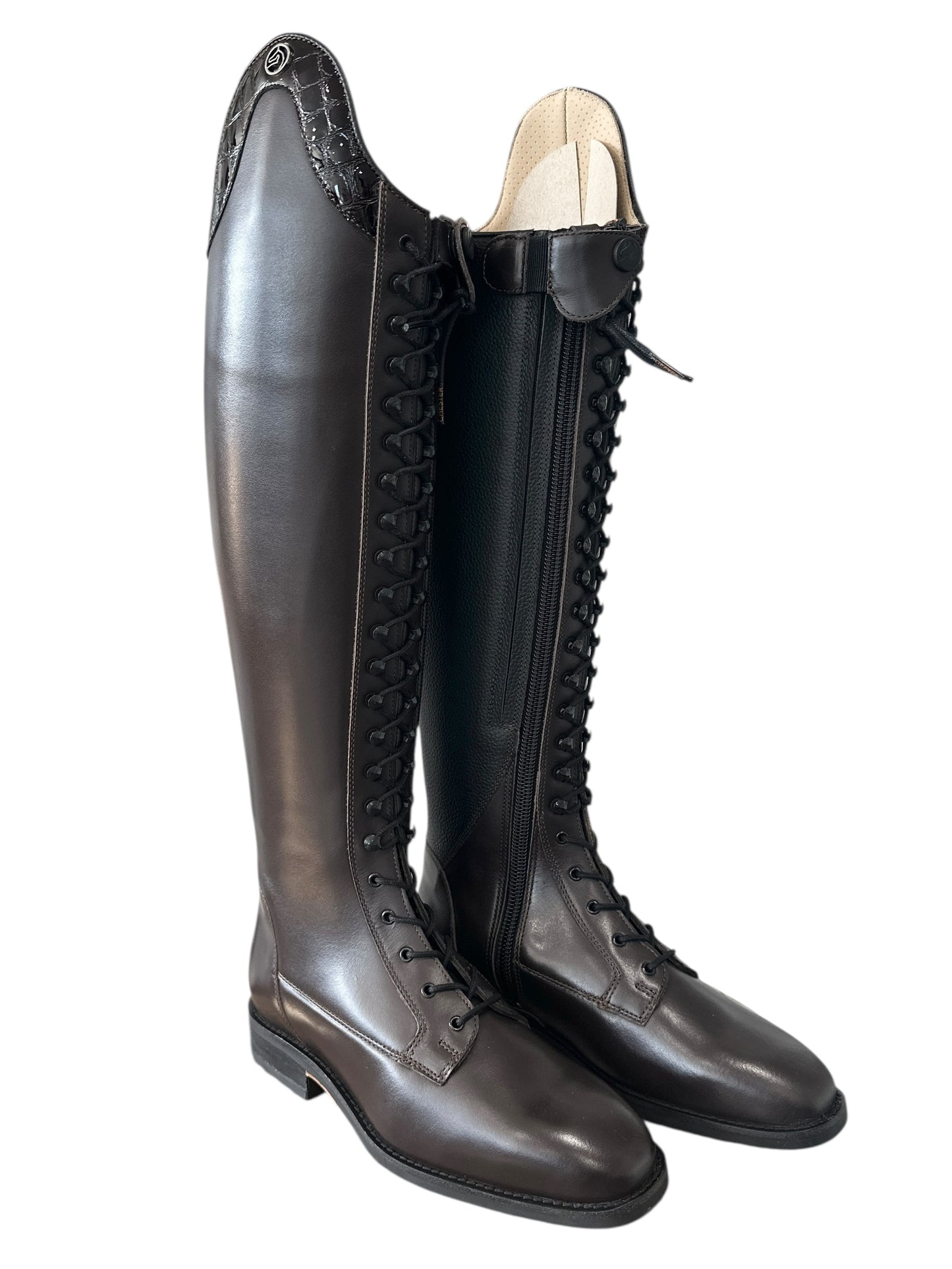 TDR's Katie H 4.0 (Chester Madrid)