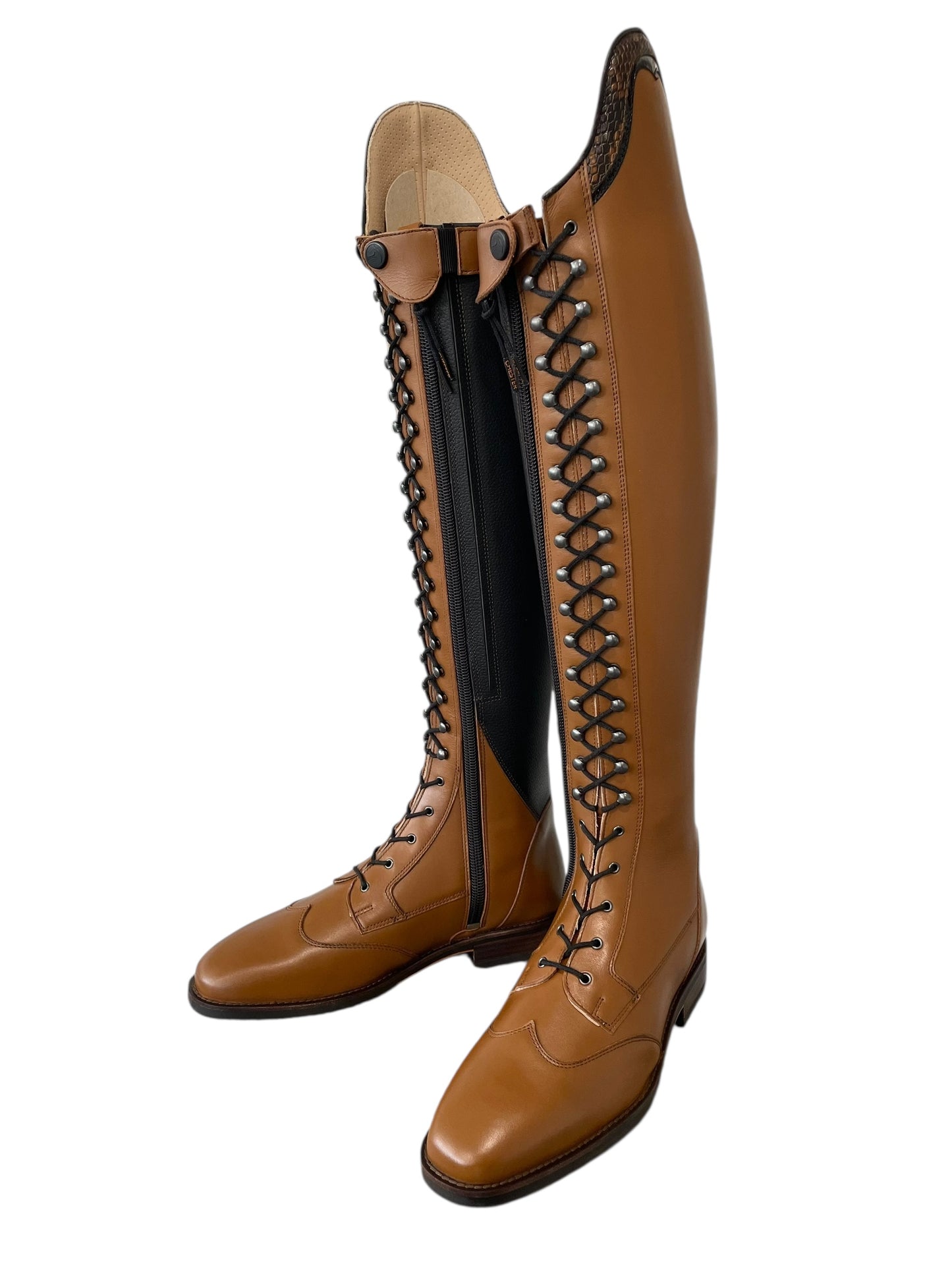 TDR's Madison F (Chester Madrid)