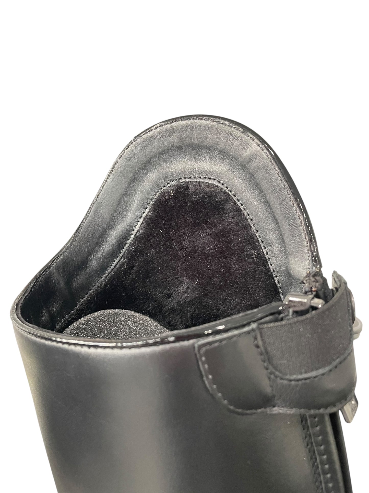 TDR's Lora 2.0 (Kingsley Maris)