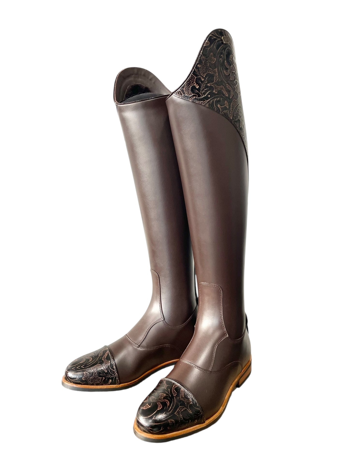 TDR's Laurie W 2.0 (Kingsley Olbia 01)