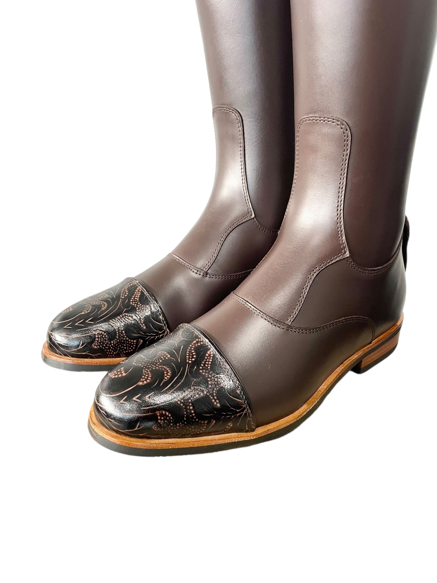 TDR's Laurie W 2.0 (Kingsley Olbia 01)