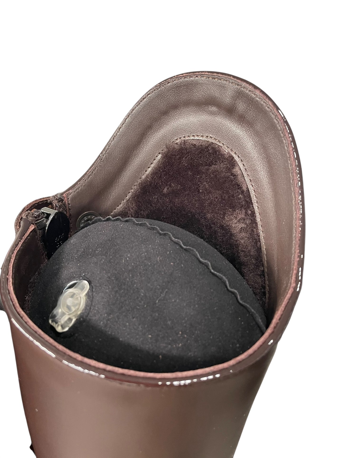 TDR's Laurie W 2.0 (Kingsley Olbia 01)