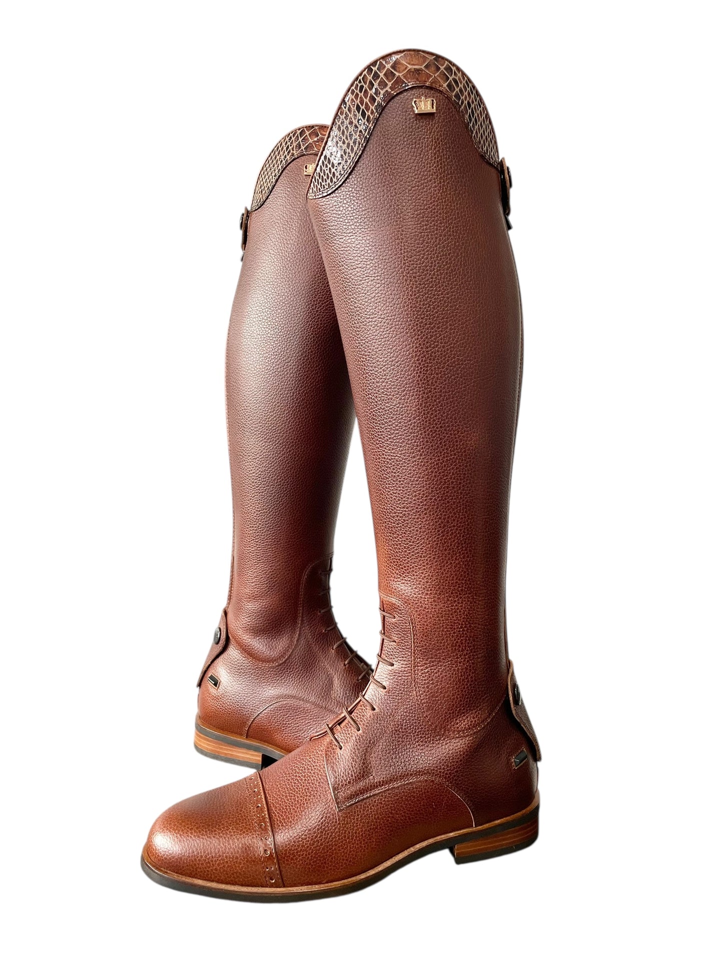 TDR's Mary Pat (Kingsley Olbia 02)