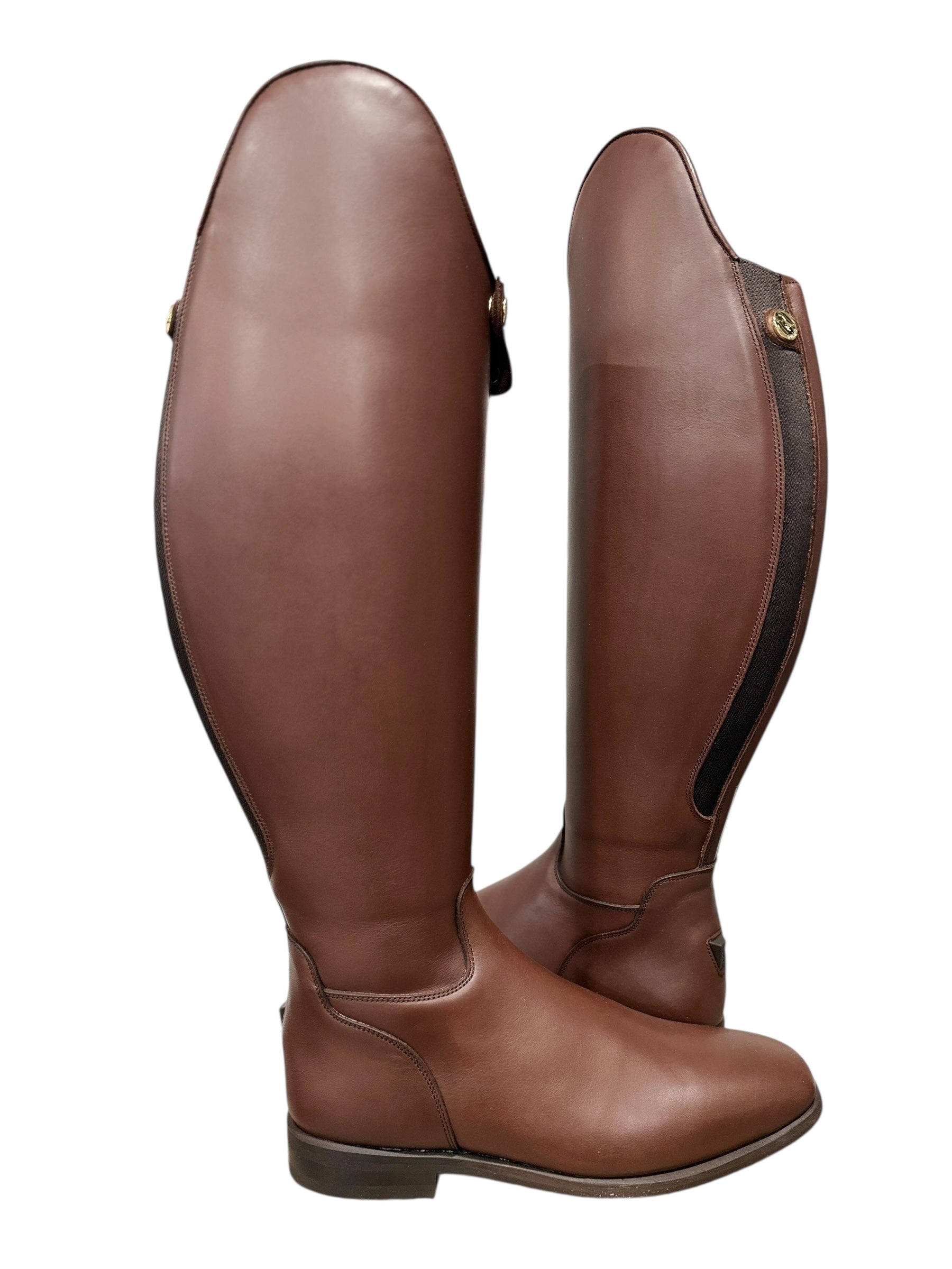 TDR's Ryleigh 2.0 (Celeris Olivia FLEX) – The Distinguished Rider