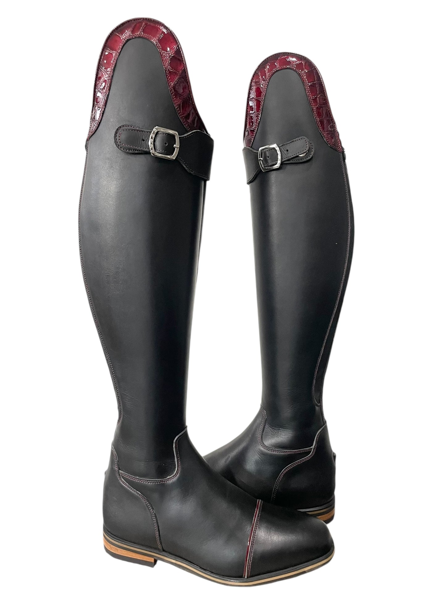 TDR's Dawn A (Celeris Olivia Flex)