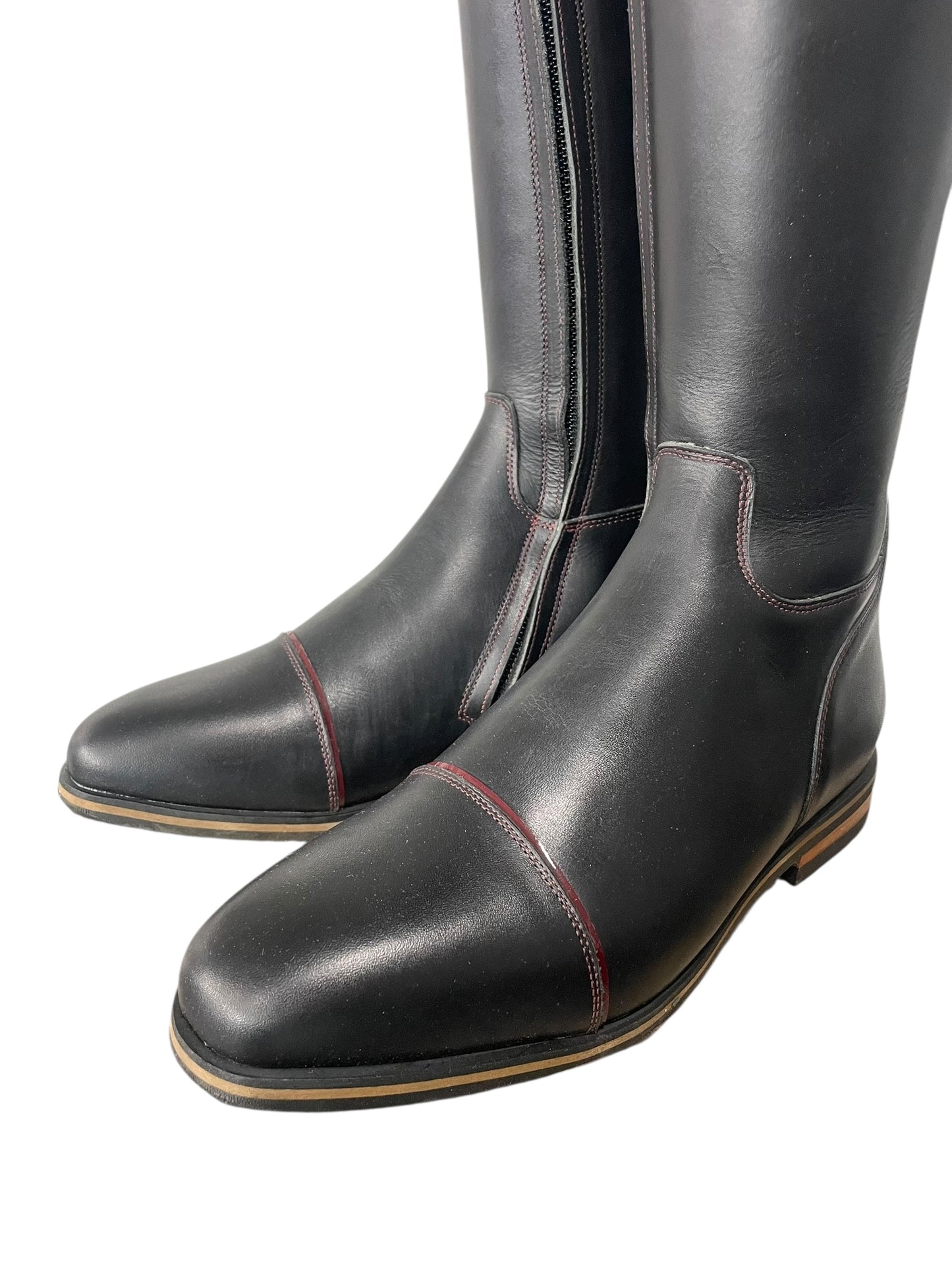 TDR's Dawn A (Celeris Olivia Flex)